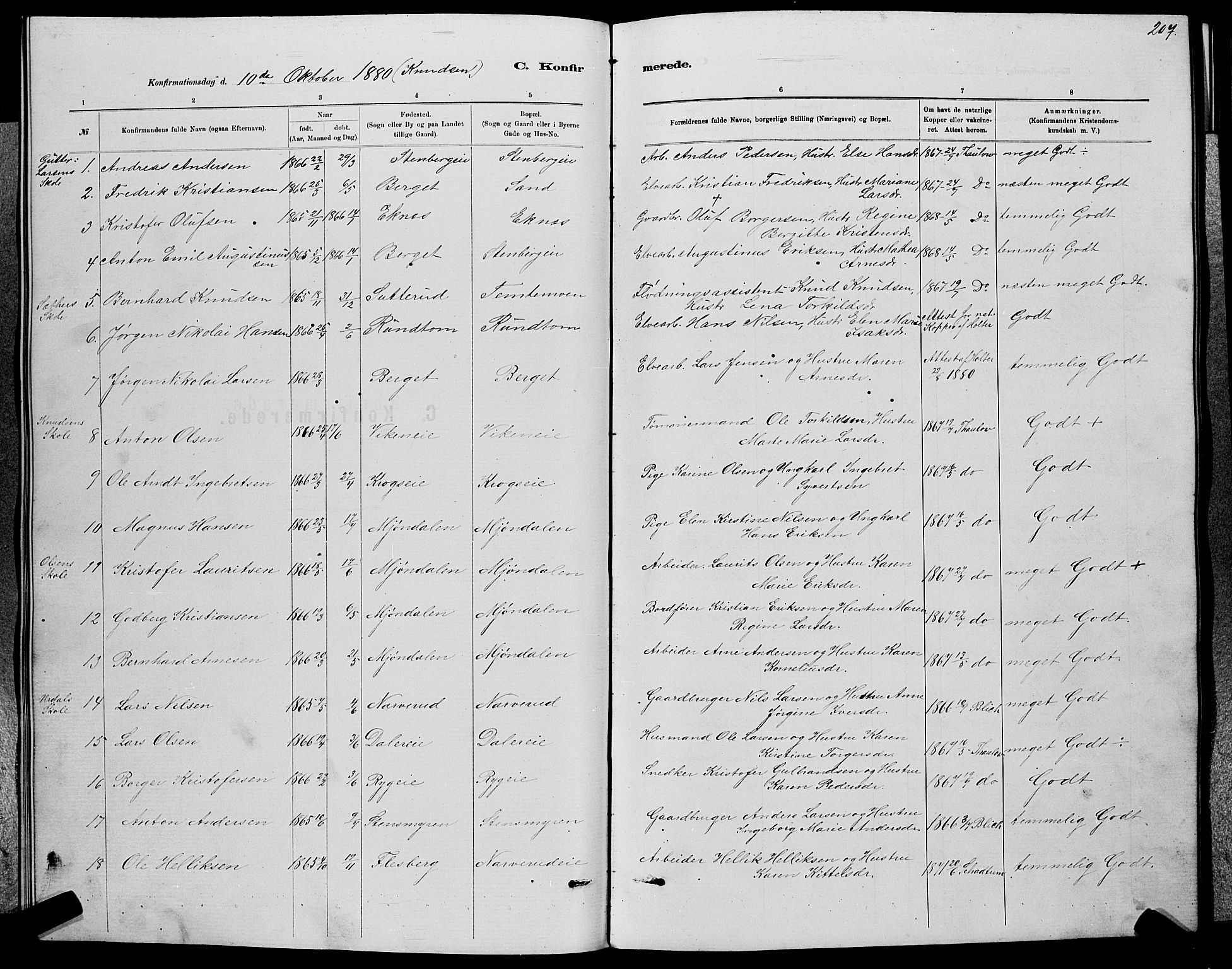 Nedre Eiker kirkebøker, AV/SAKO-A-612/G/Ga/L0002: Parish register (copy) no. 2, 1880-1896, p. 207