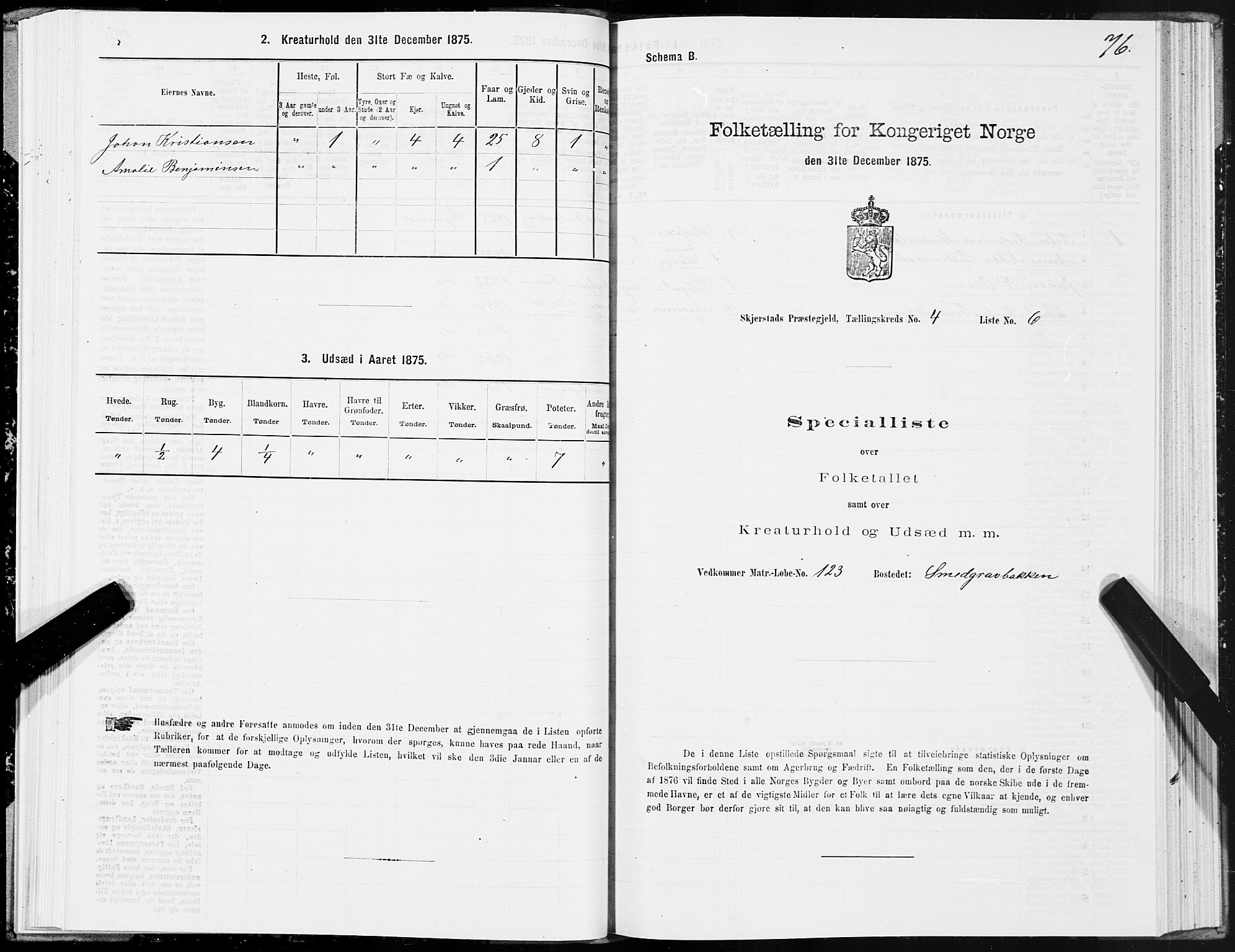 SAT, 1875 census for 1842P Skjerstad, 1875, p. 2076