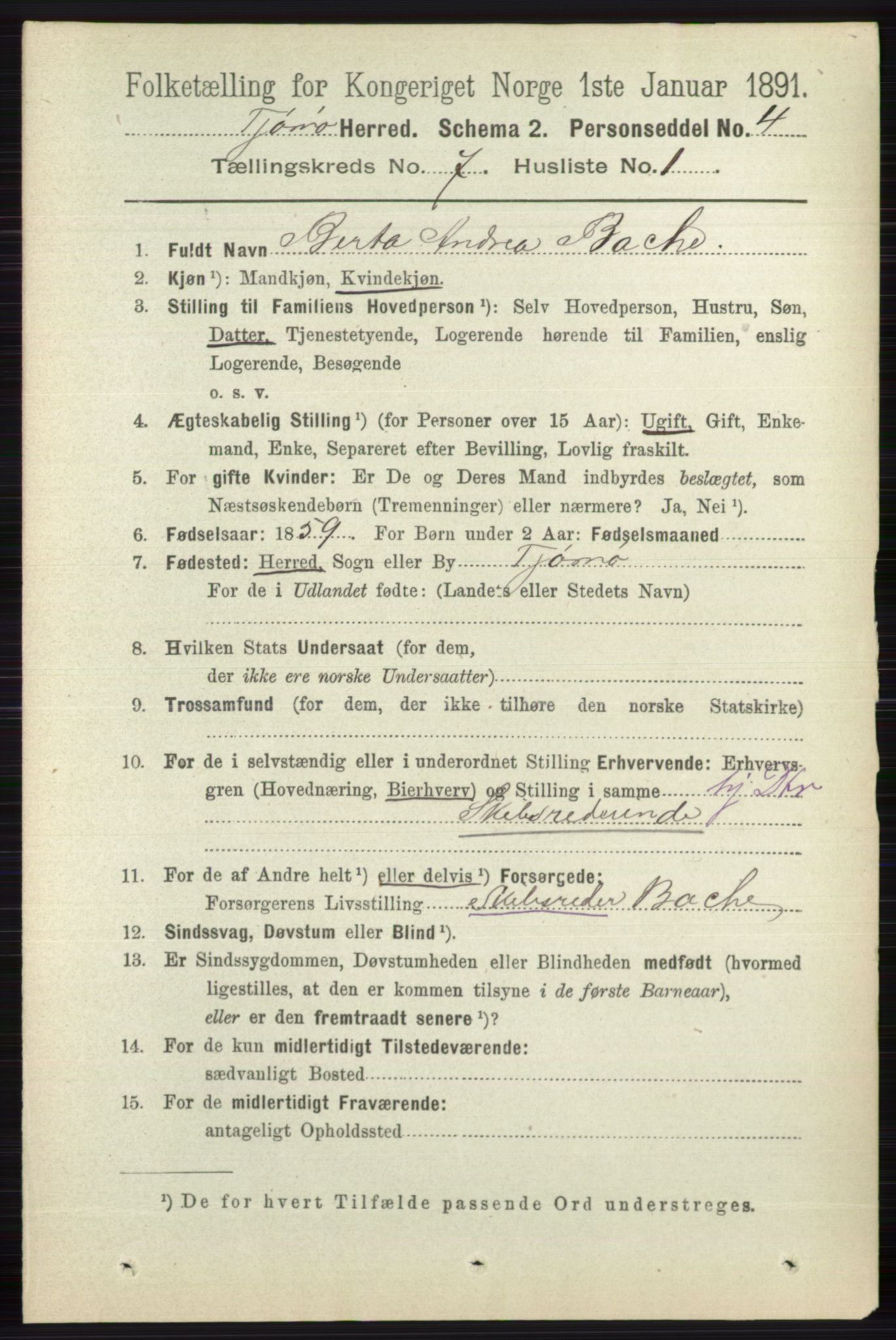 RA, 1891 census for 0723 Tjøme, 1891, p. 2463