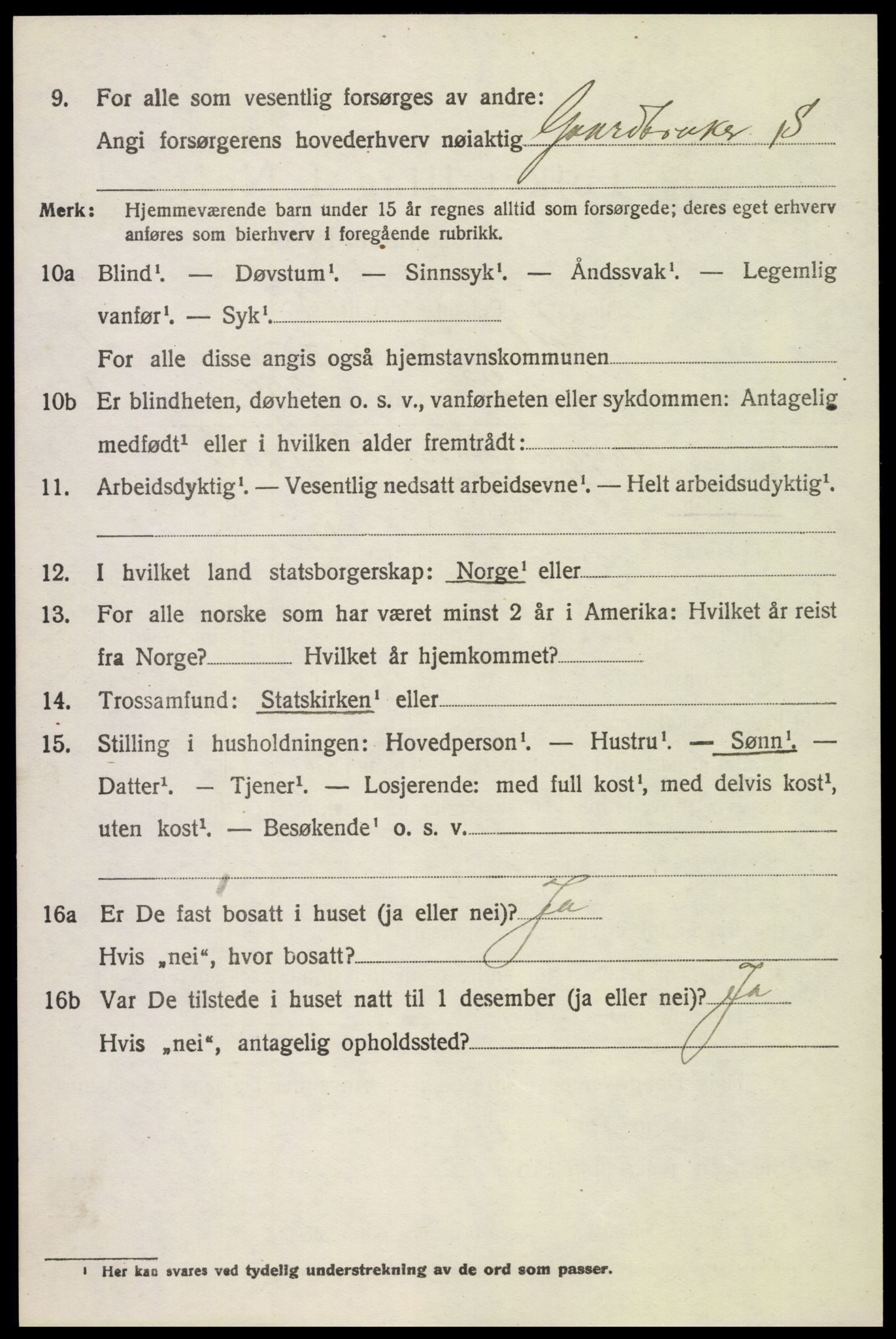 SAH, 1920 census for Kolbu, 1920, p. 5315