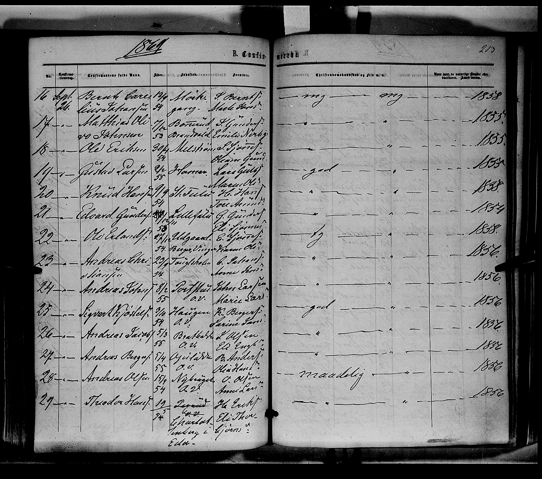 Sør-Odal prestekontor, AV/SAH-PREST-030/H/Ha/Haa/L0003: Parish register (official) no. 3, 1864-1870, p. 213