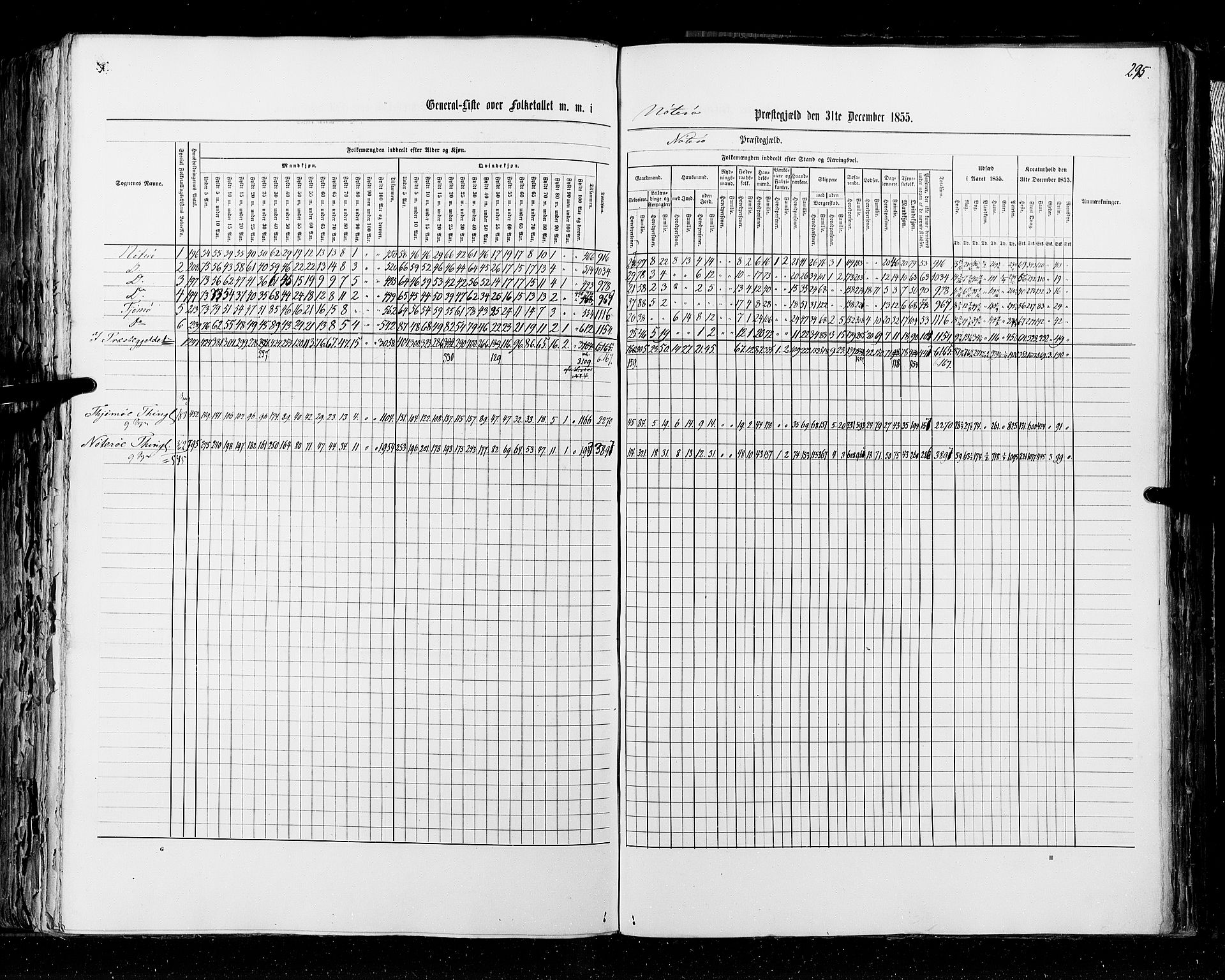 RA, Census 1855, vol. 2: Kristians amt, Buskerud amt og Jarlsberg og Larvik amt, 1855, p. 295