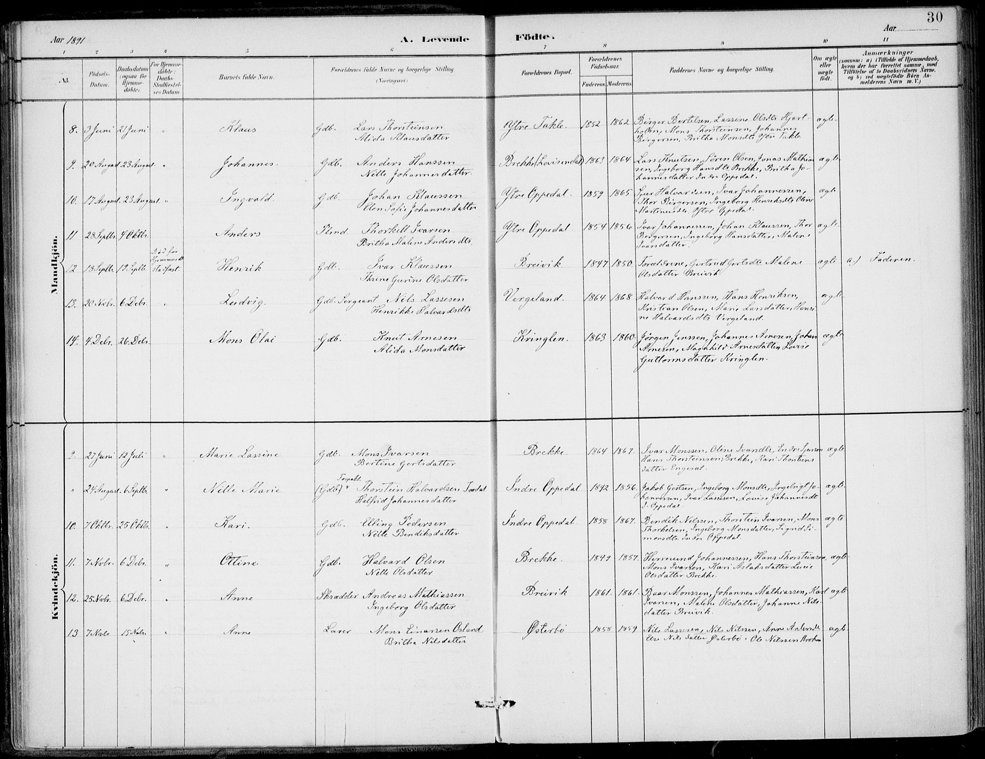 Gulen sokneprestembete, SAB/A-80201/H/Haa/Haac/L0002: Parish register (official) no. C  2, 1882-1914, p. 30
