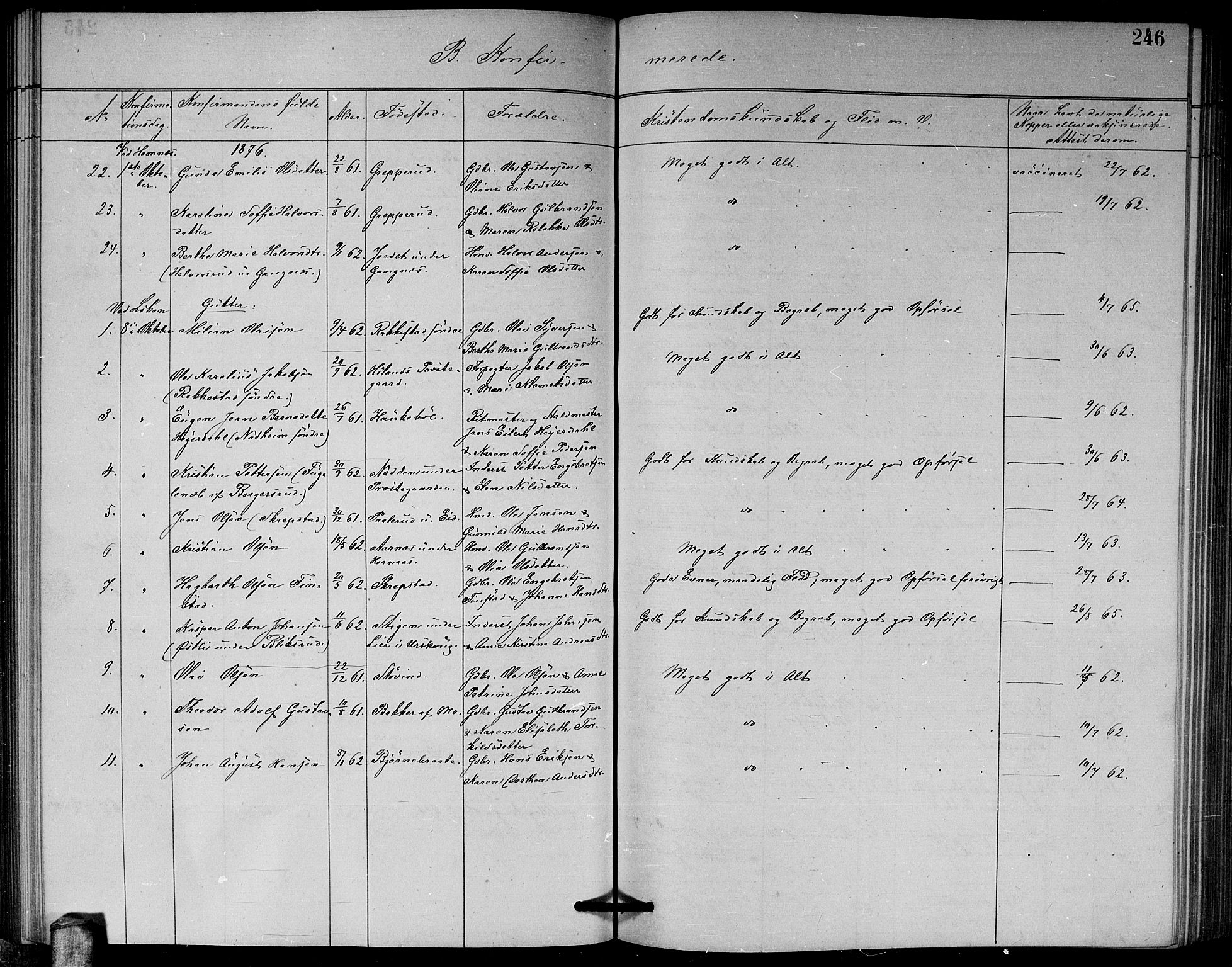 Høland prestekontor Kirkebøker, AV/SAO-A-10346a/G/Ga/L0006: Parish register (copy) no. I 6, 1869-1879, p. 246