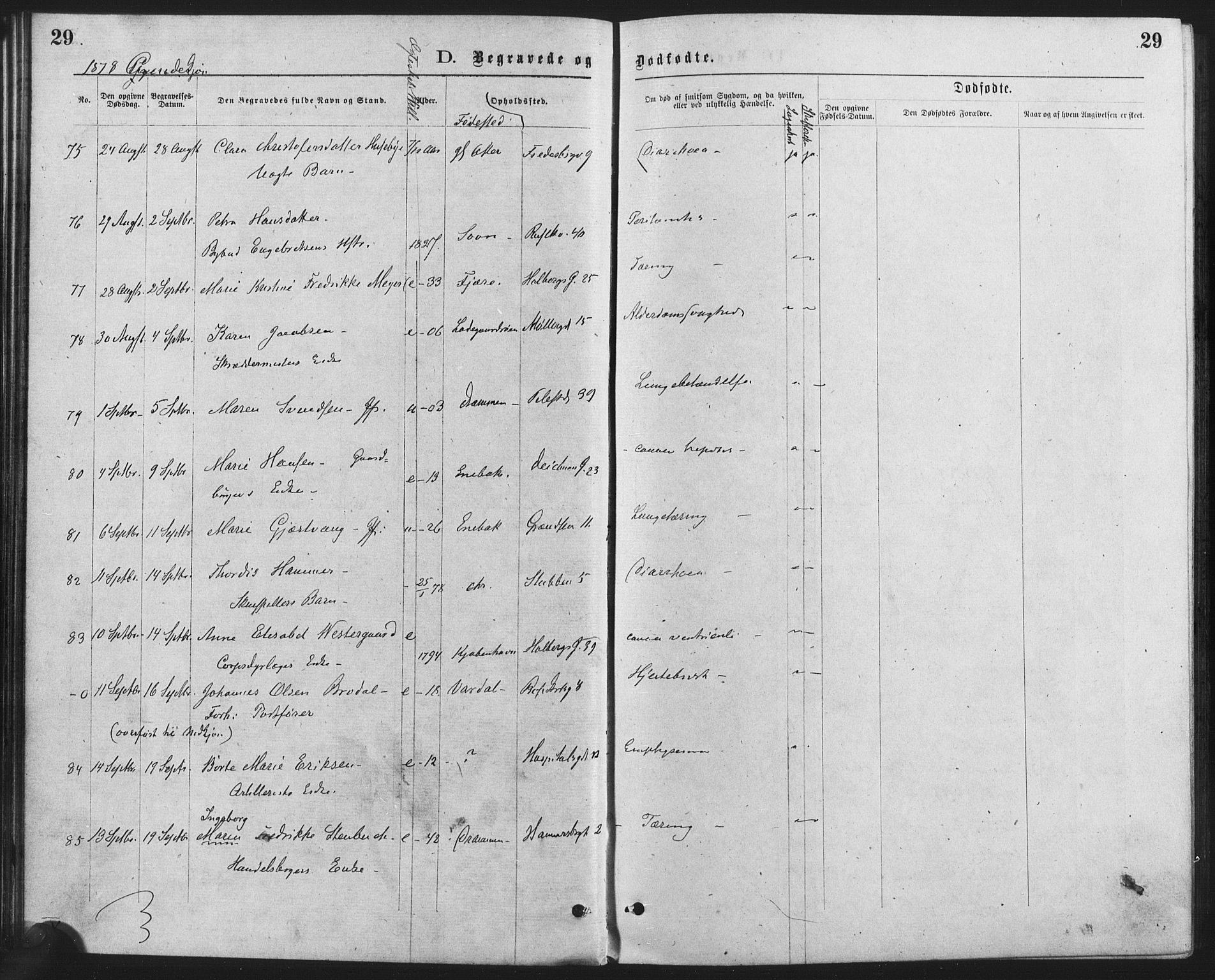Trefoldighet prestekontor Kirkebøker, SAO/A-10882/F/Fd/L0002: Parish register (official) no. IV 2, 1877-1885, p. 29