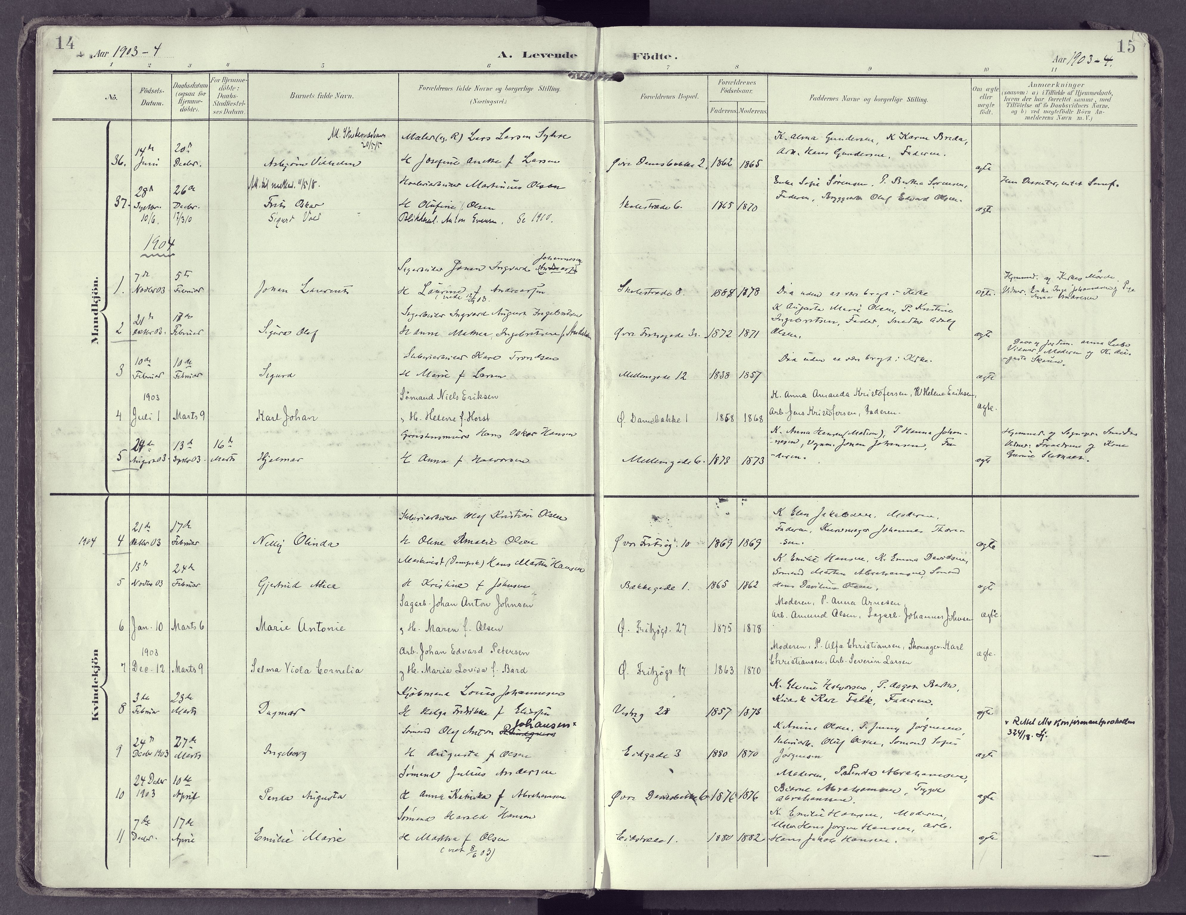 Larvik kirkebøker, SAKO/A-352/F/Fb/L0005: Parish register (official) no. II 5, 1903-1925, p. 14-15