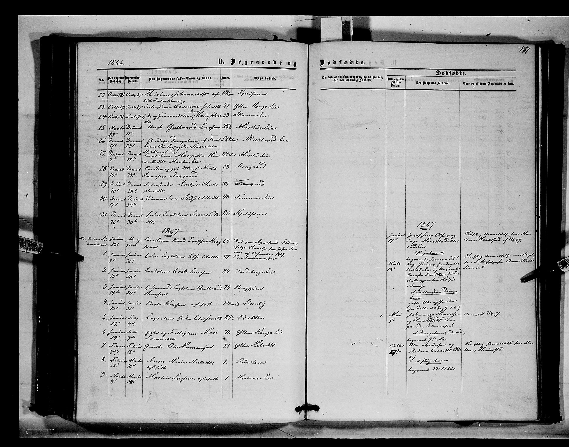 Stange prestekontor, SAH/PREST-002/K/L0014: Parish register (official) no. 14, 1862-1879, p. 167
