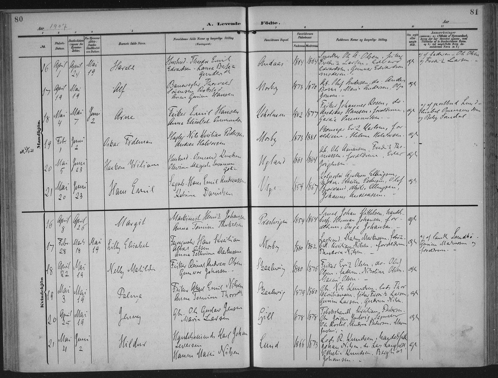 Oddernes sokneprestkontor, AV/SAK-1111-0033/F/Fa/Faa/L0011: Parish register (official) no. A 11, 1904-1911, p. 80-81