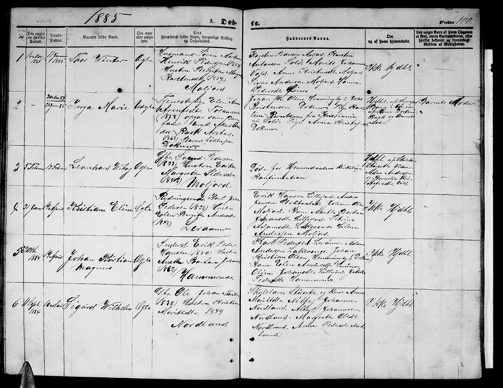 Ministerialprotokoller, klokkerbøker og fødselsregistre - Nordland, AV/SAT-A-1459/846/L0653: Parish register (copy) no. 846C03, 1872-1887, p. 100