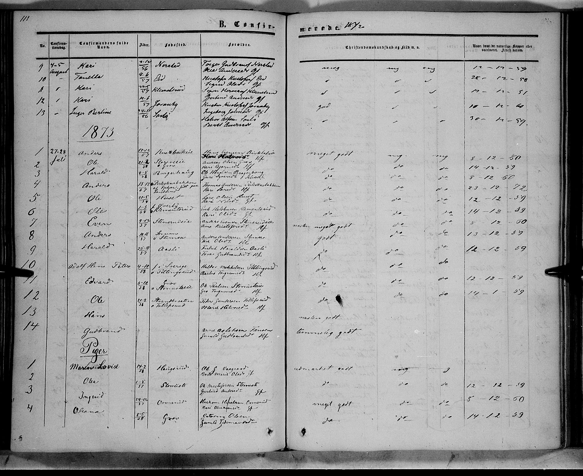 Sør-Aurdal prestekontor, SAH/PREST-128/H/Ha/Haa/L0007: Parish register (official) no. 7, 1849-1876, p. 111