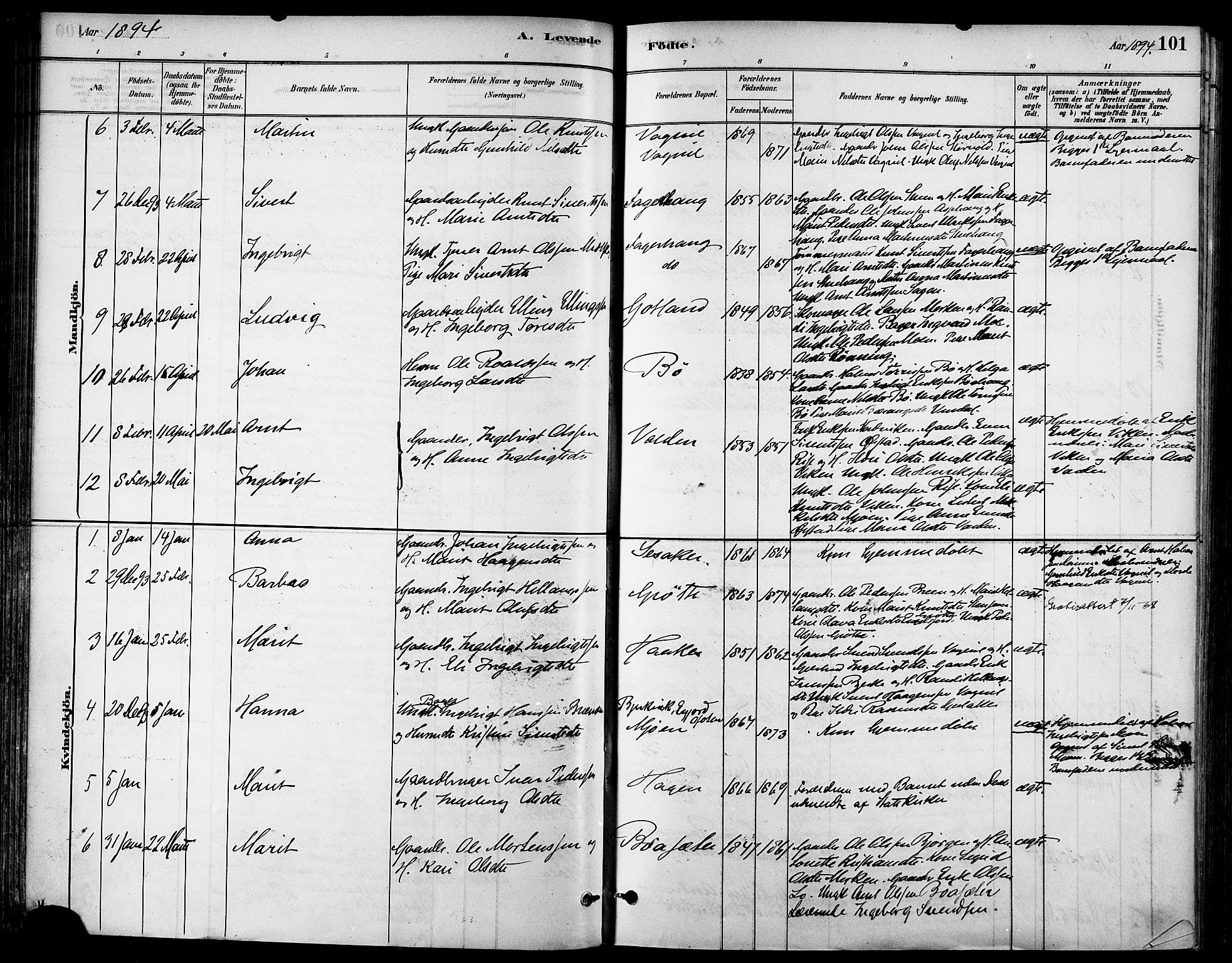 Ministerialprotokoller, klokkerbøker og fødselsregistre - Sør-Trøndelag, AV/SAT-A-1456/678/L0901: Parish register (official) no. 678A10, 1881-1894, p. 101