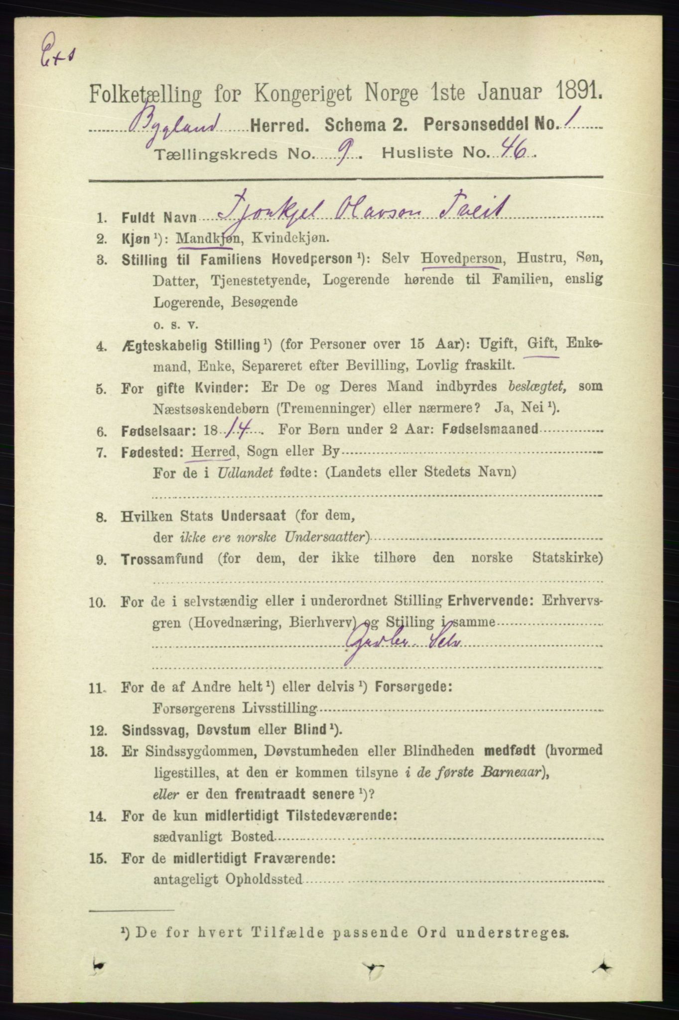 RA, Census 1891 for Nedenes amt: Gjenparter av personsedler for beslektede ektefeller, menn, 1891, p. 1040