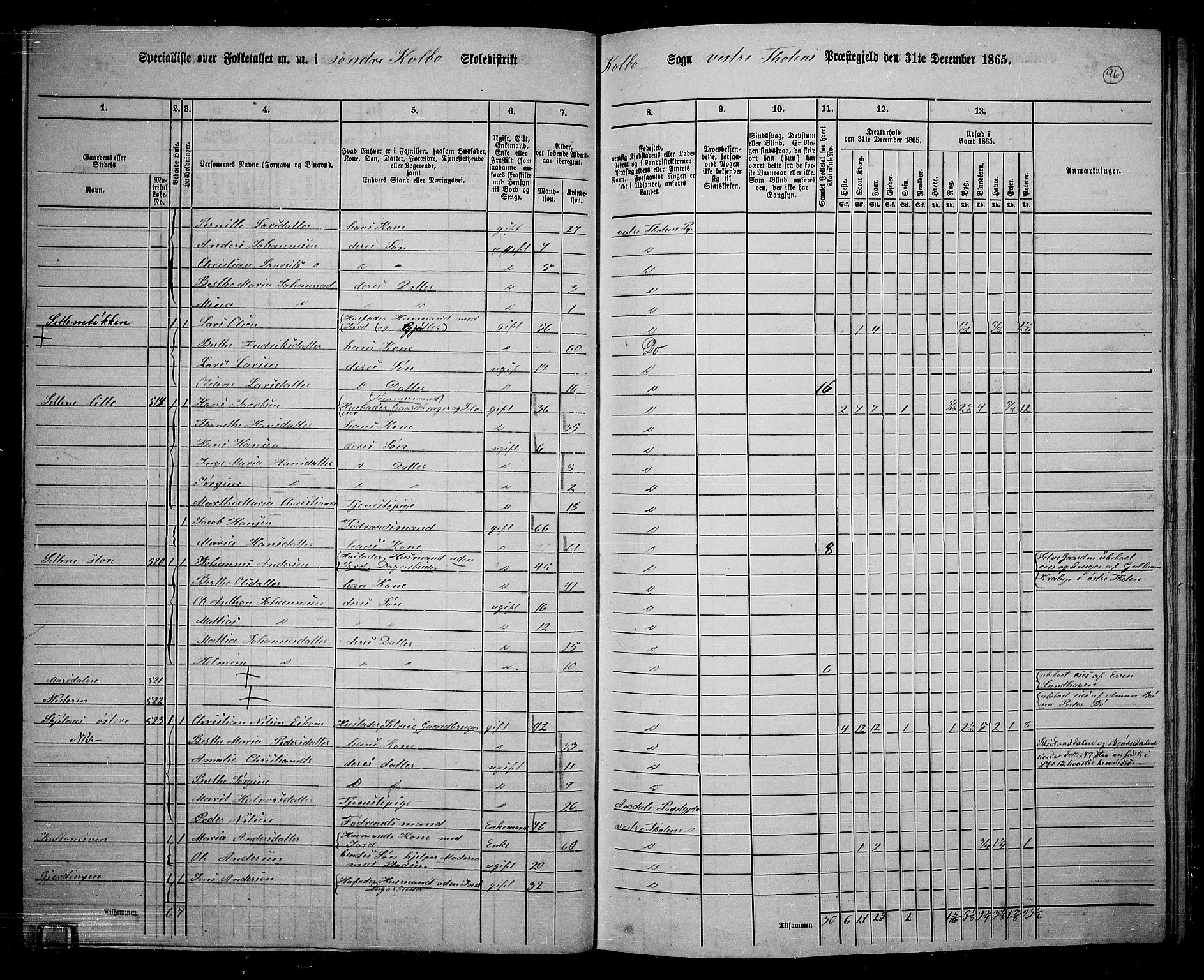 RA, 1865 census for Vestre Toten, 1865, p. 250