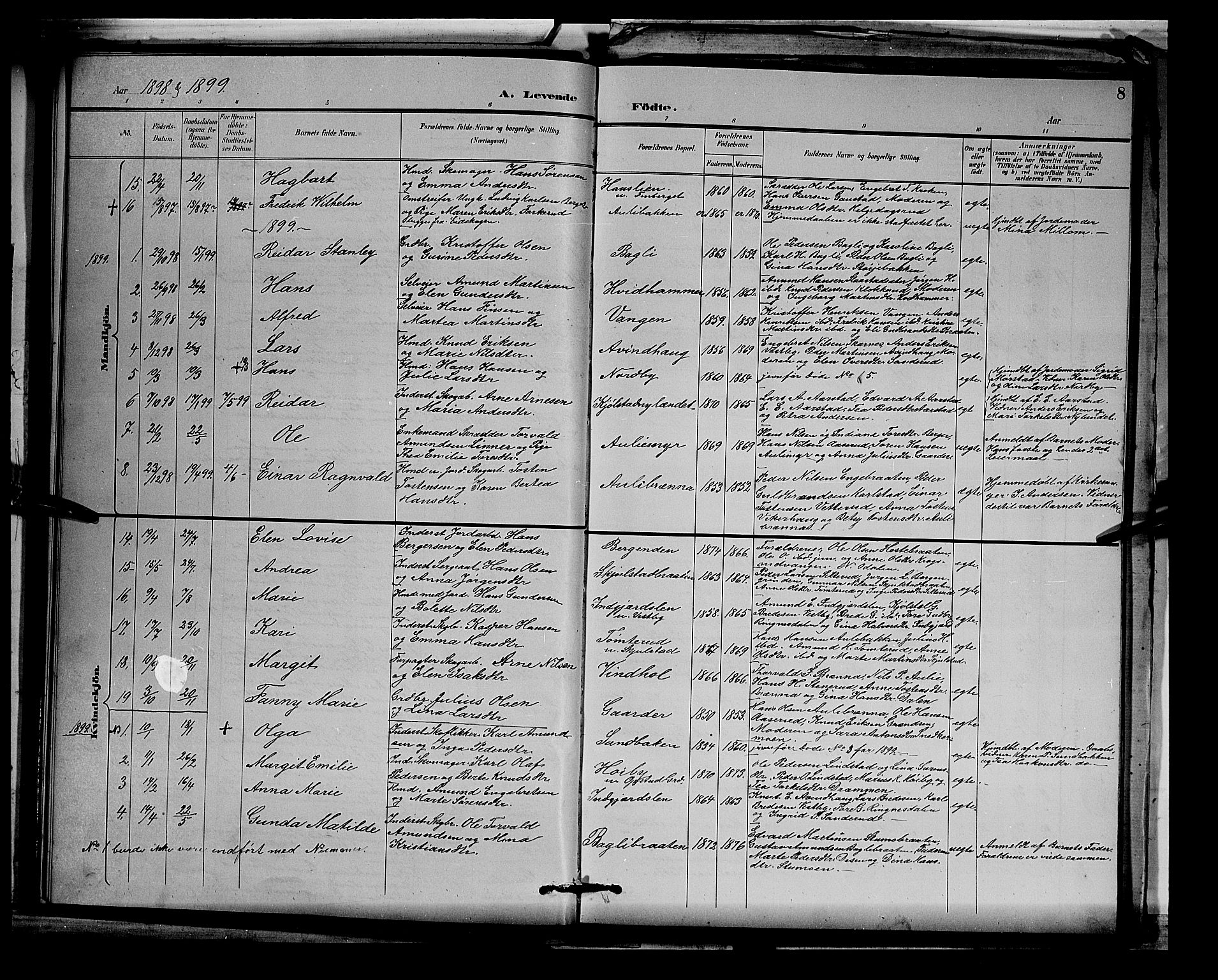 Sør-Odal prestekontor, AV/SAH-PREST-030/H/Ha/Hab/L0003: Parish register (copy) no. 3, 1895-1906, p. 8