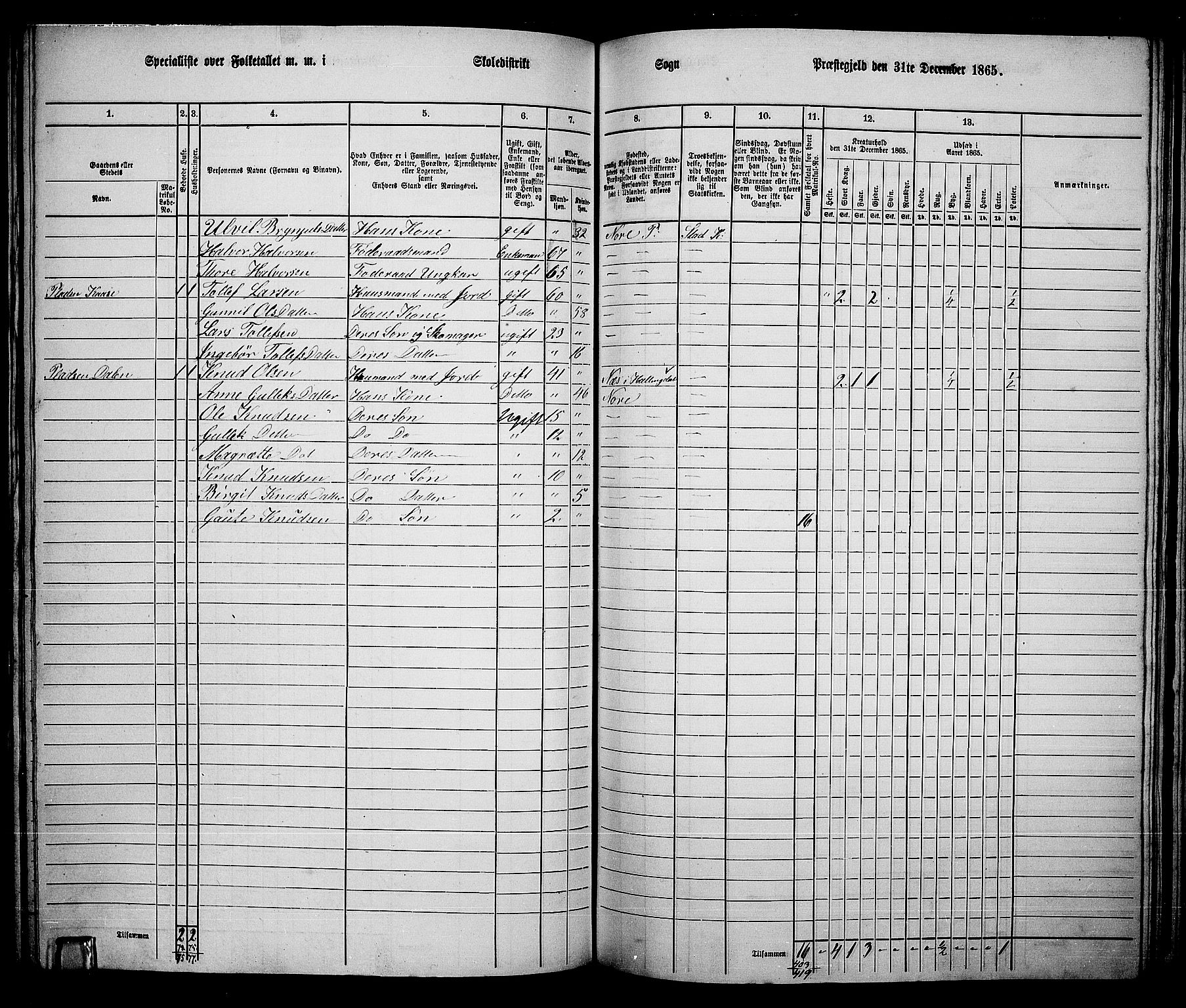 RA, 1865 census for Nore, 1865, p. 118