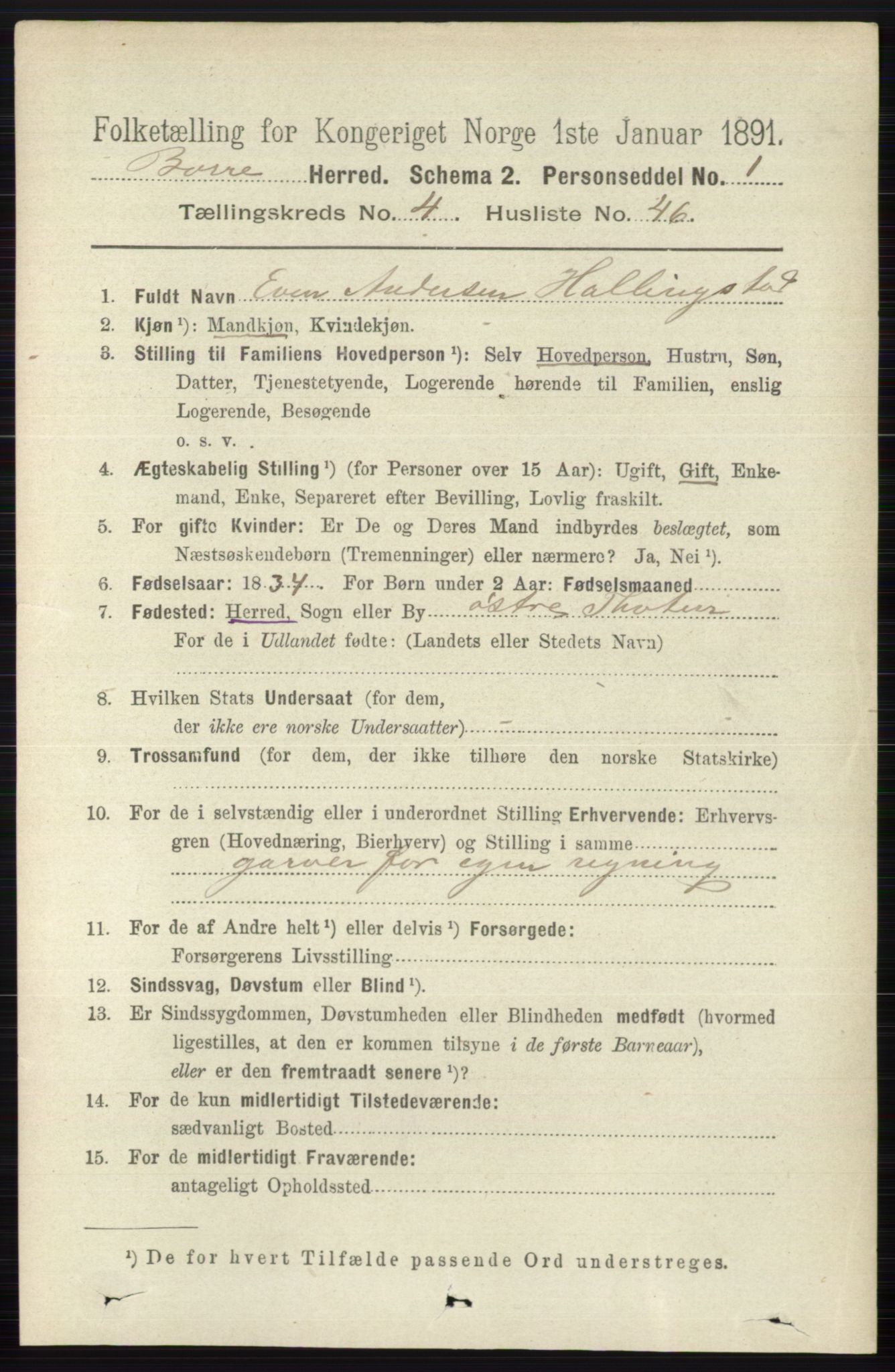 RA, 1891 census for 0717 Borre, 1891, p. 1919