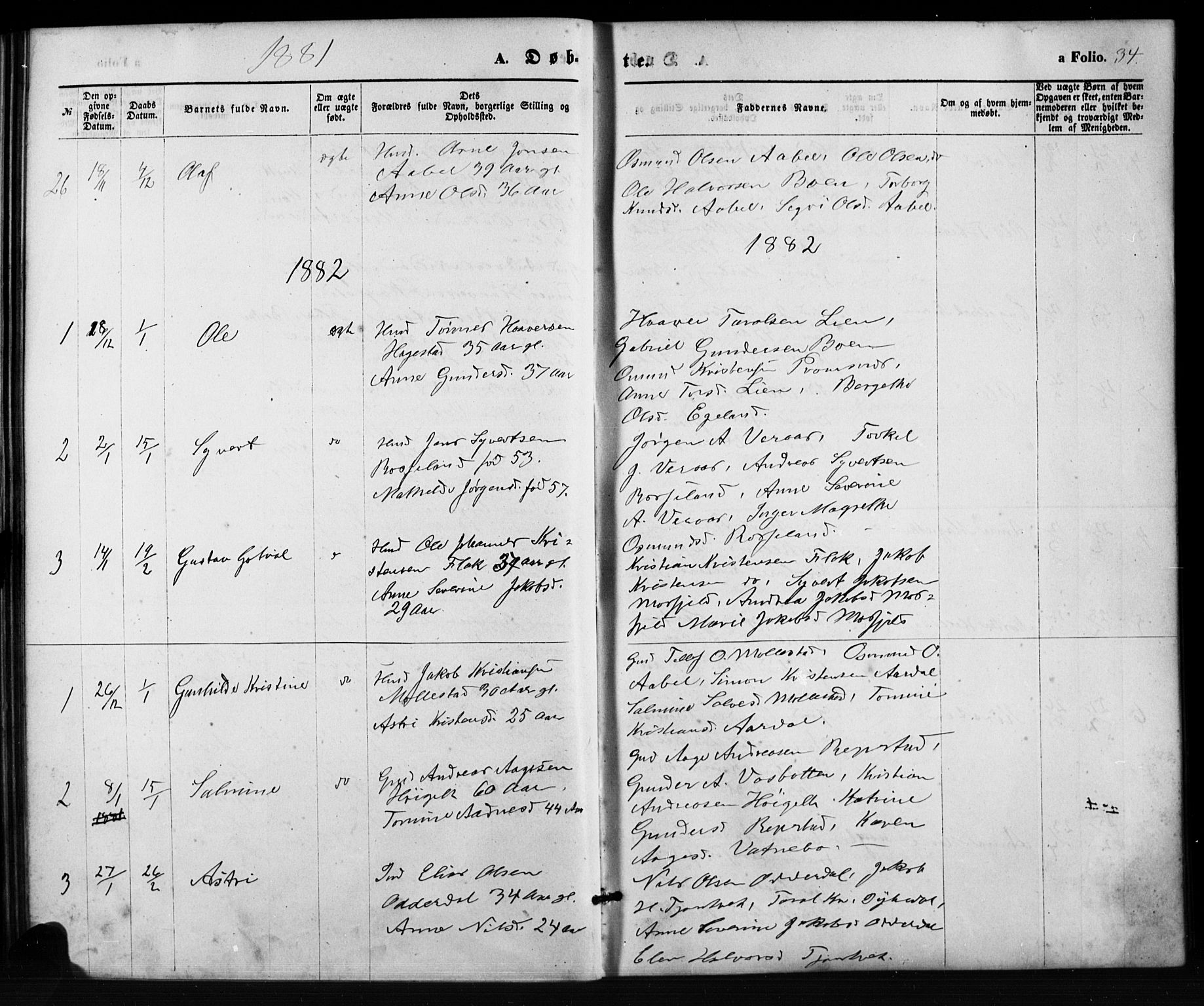 Birkenes sokneprestkontor, SAK/1111-0004/F/Fb/L0003: Parish register (copy) no. B 3, 1876-1892, p. 34