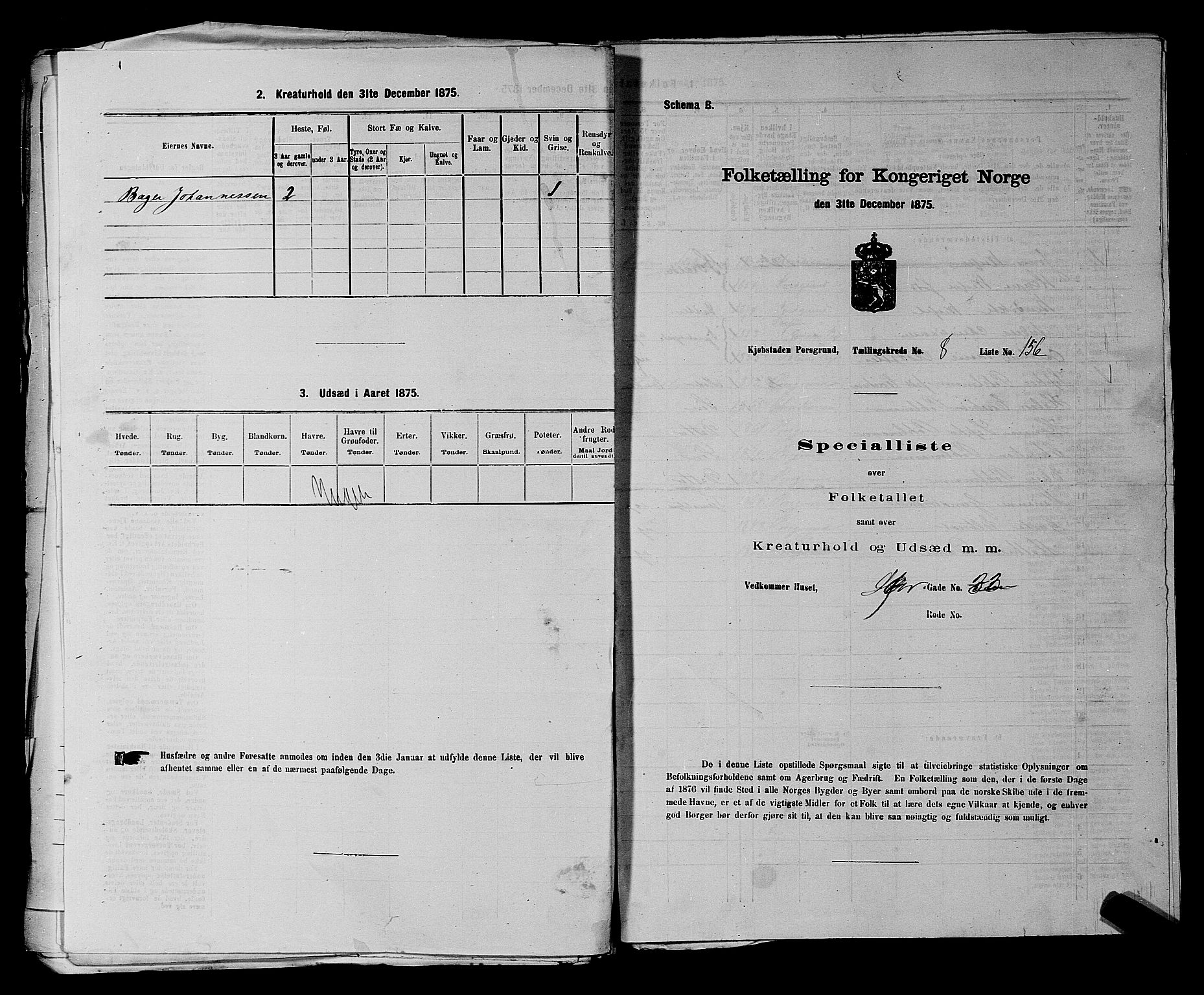 SAKO, 1875 census for 0805P Porsgrunn, 1875, p. 369