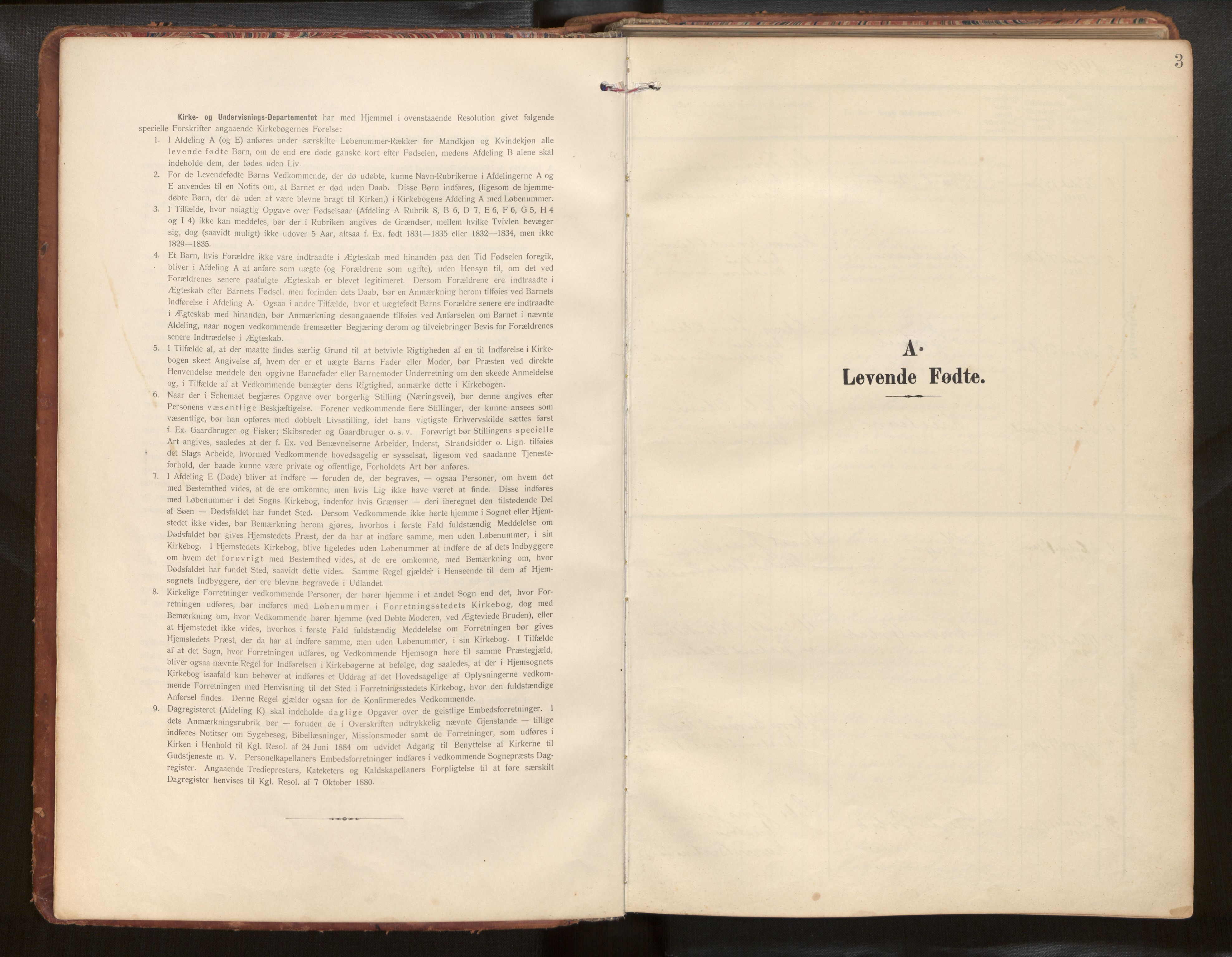 Hafslo sokneprestembete, SAB/A-80301/H/Hab/Habb/L0002: Parish register (copy) no. B 2, 1909-1947, p. 3