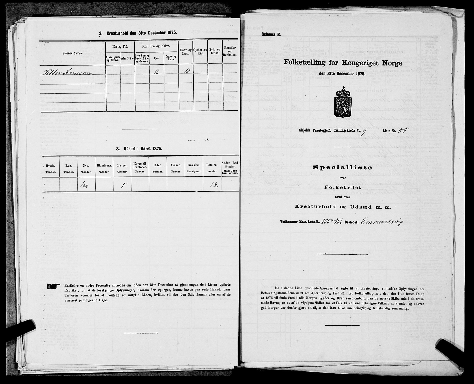 SAST, 1875 census for 1154P Skjold, 1875, p. 946