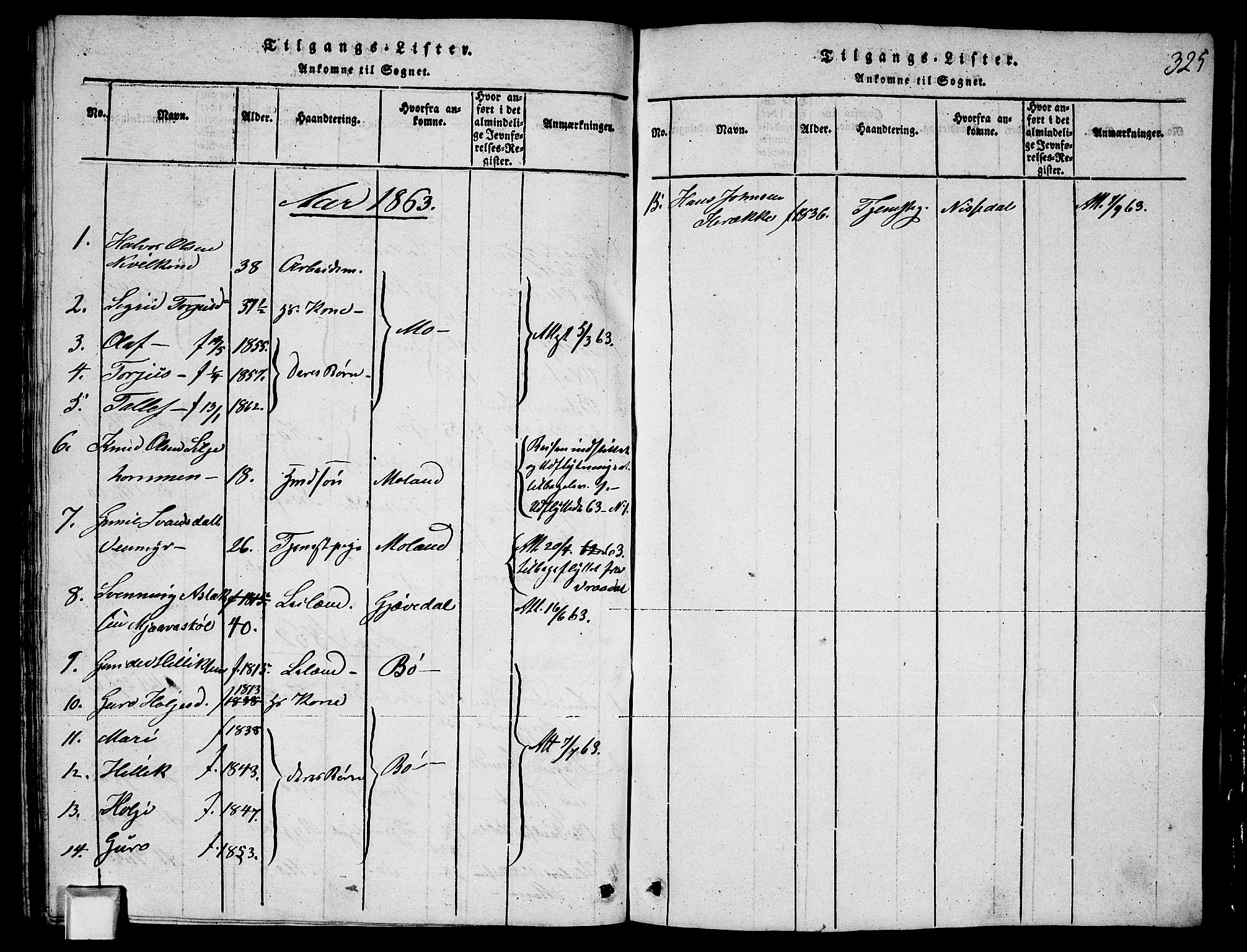 Fyresdal kirkebøker, SAKO/A-263/G/Ga/L0003: Parish register (copy) no. I 3, 1815-1863, p. 325