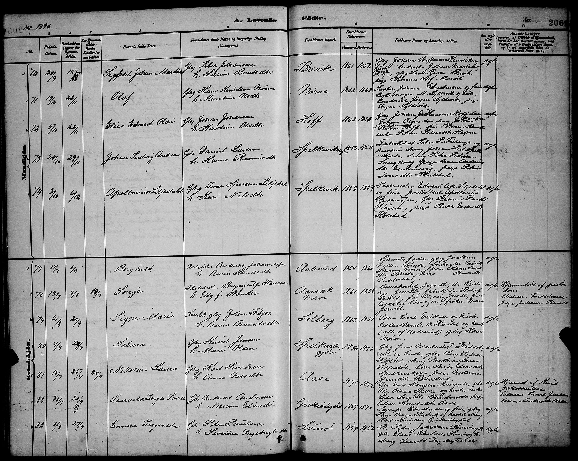 Ministerialprotokoller, klokkerbøker og fødselsregistre - Møre og Romsdal, AV/SAT-A-1454/528/L0431: Parish register (copy) no. 528C12, 1885-1898, p. 206