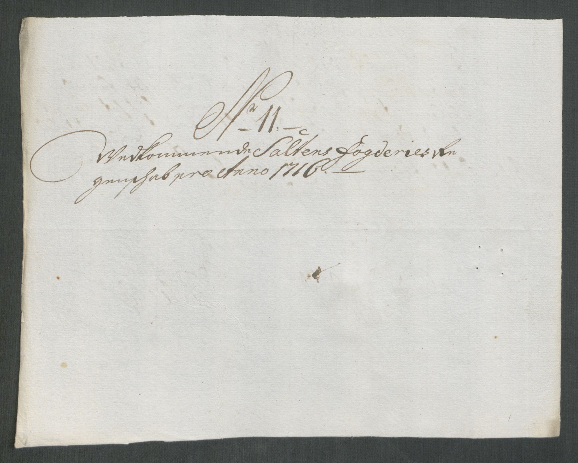 Rentekammeret inntil 1814, Reviderte regnskaper, Fogderegnskap, RA/EA-4092/R66/L4586: Fogderegnskap Salten, 1716, p. 111