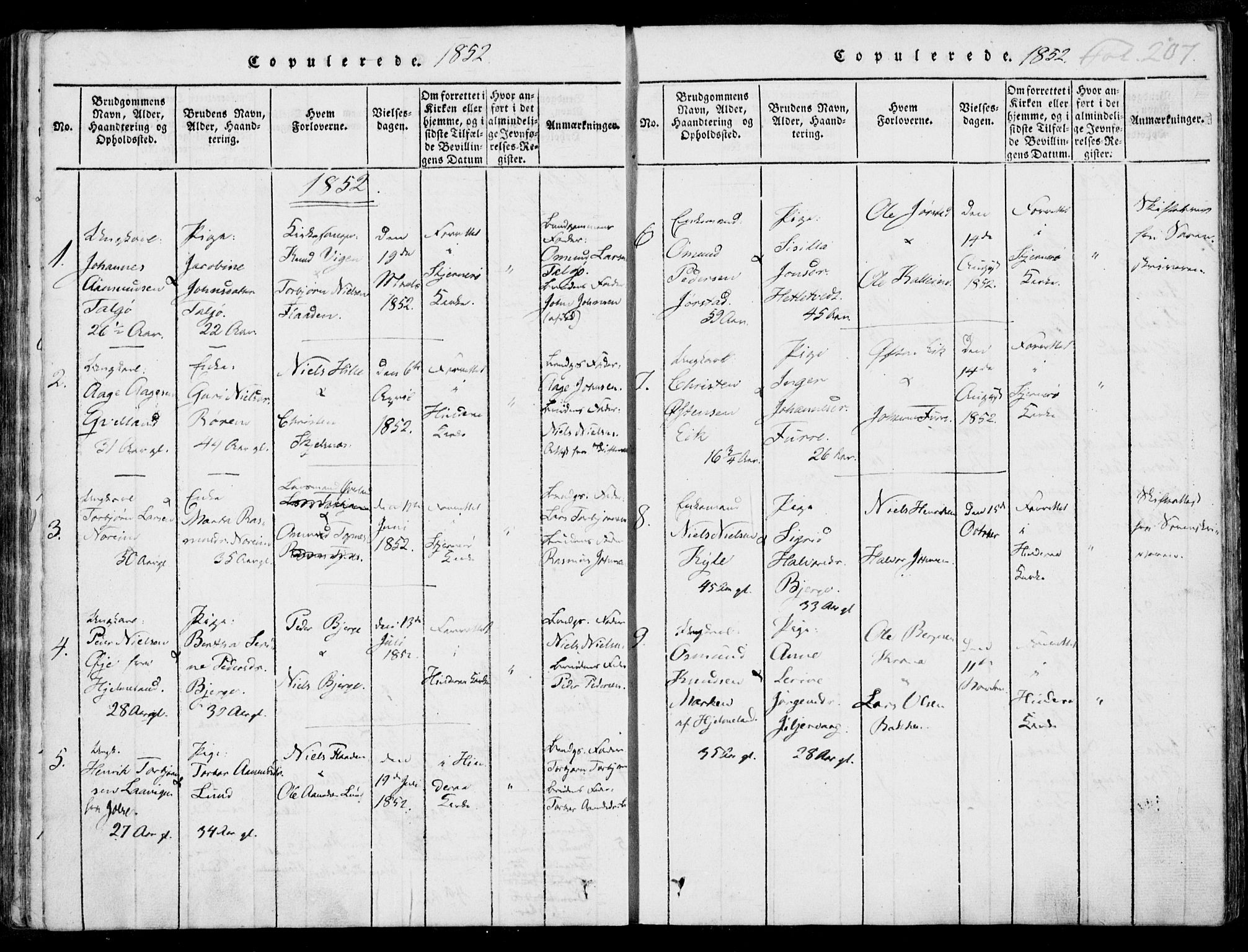 Nedstrand sokneprestkontor, AV/SAST-A-101841/01/IV: Parish register (official) no. A 7, 1816-1870, p. 207