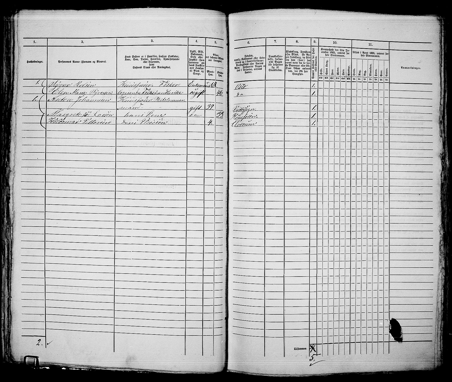 RA, 1865 census for Kristiania, 1865, p. 4202