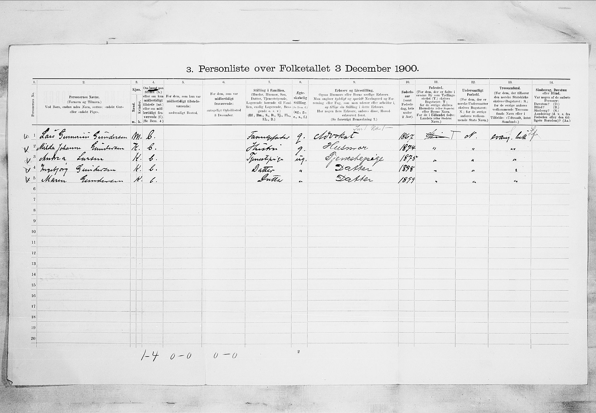 SAKO, 1900 census for Skien, 1900, p. 293