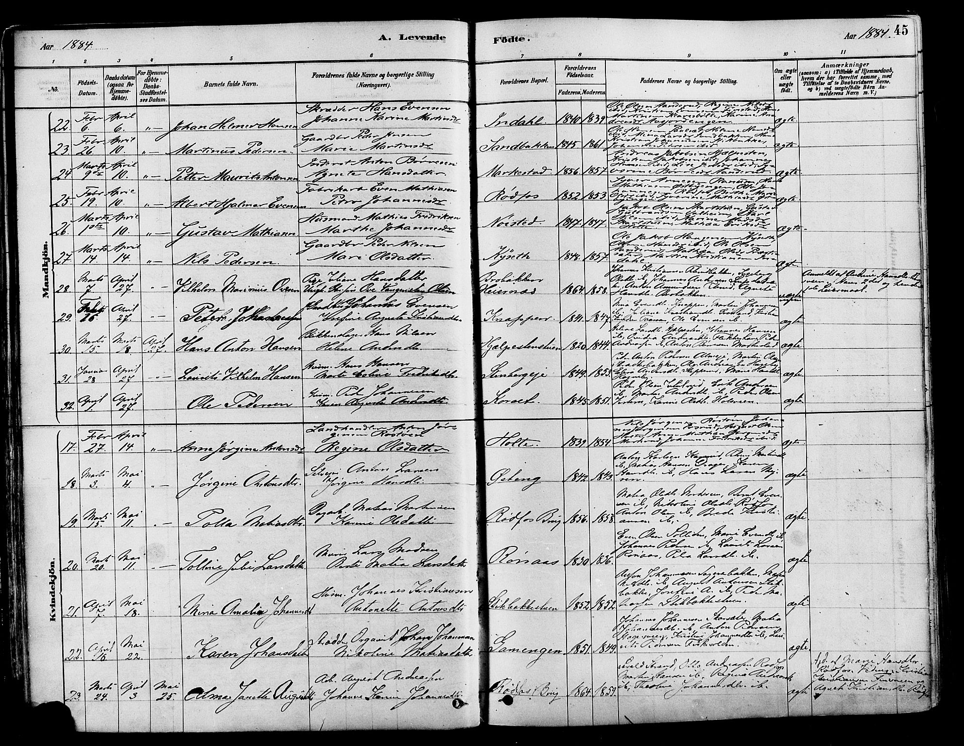 Vestre Toten prestekontor, AV/SAH-PREST-108/H/Ha/Haa/L0009: Parish register (official) no. 9, 1878-1894, p. 45