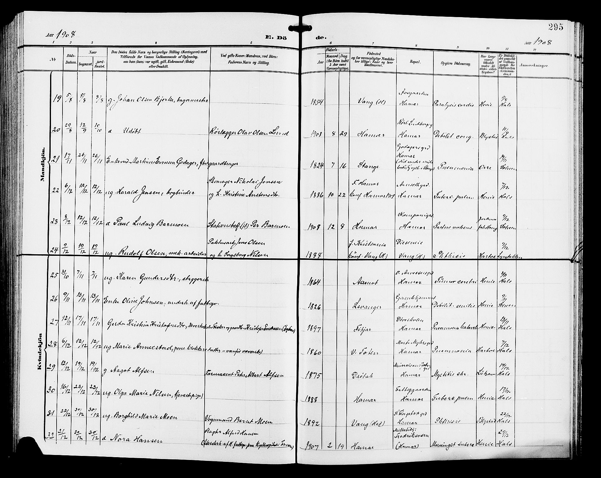 Hamar prestekontor, AV/SAH-DOMPH-002/H/Ha/Hab/L0001: Parish register (copy) no. 1, 1899-1914, p. 295