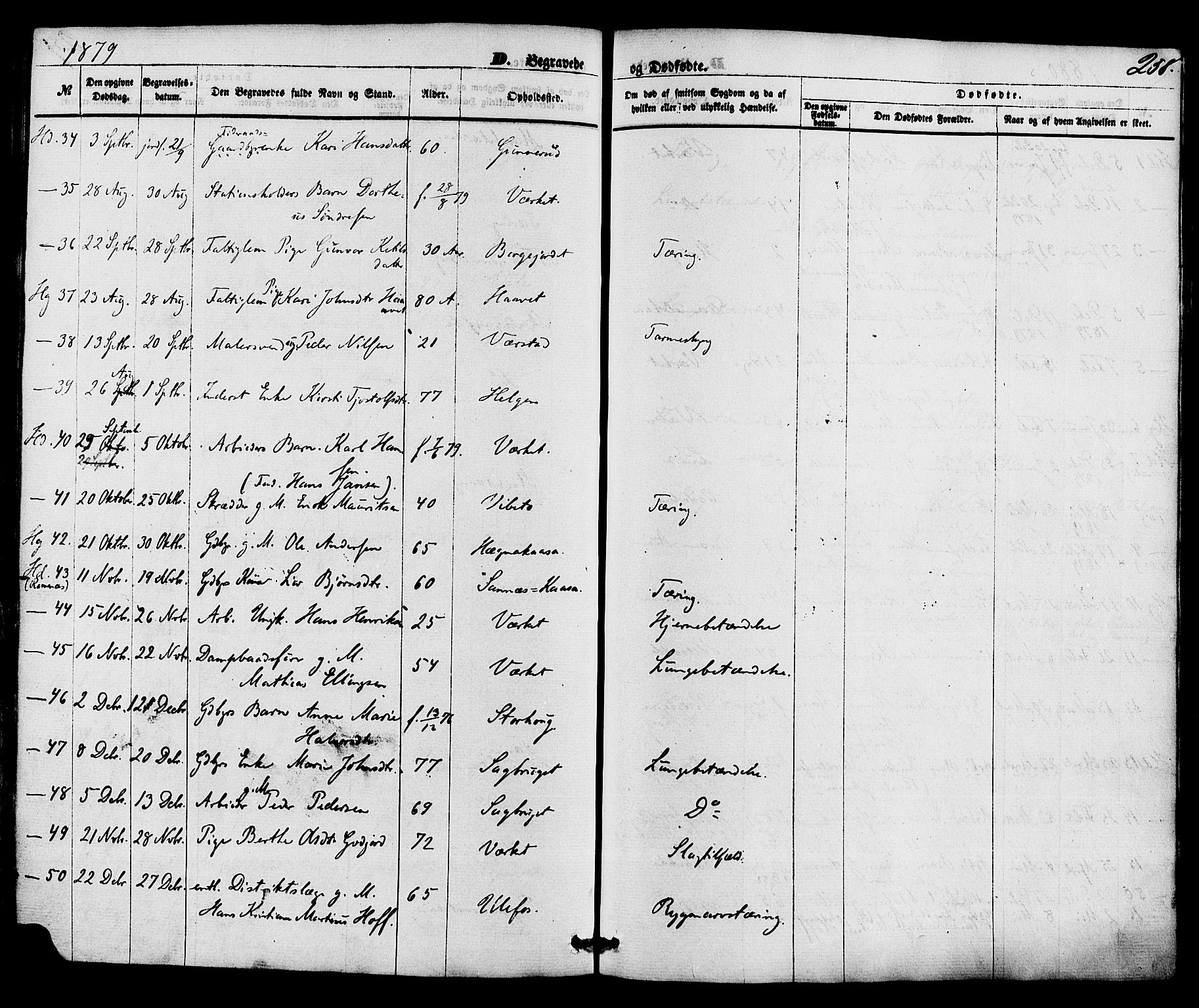 Holla kirkebøker, AV/SAKO-A-272/F/Fa/L0007: Parish register (official) no. 7, 1869-1881, p. 258