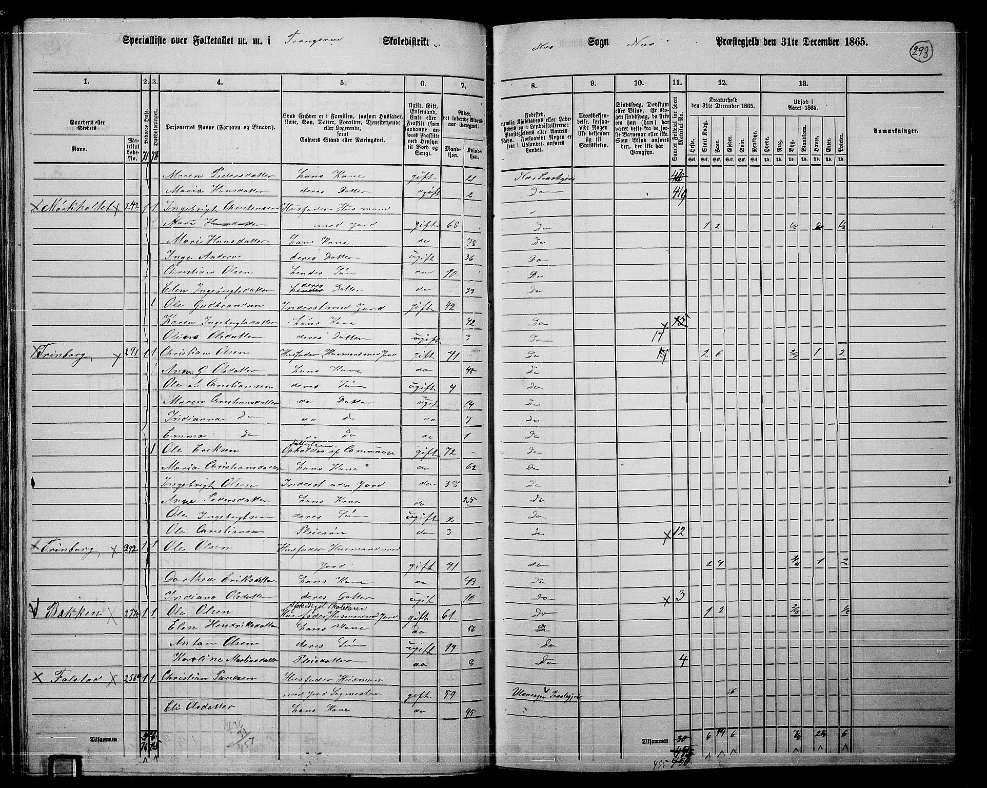 RA, 1865 census for Nes, 1865, p. 273