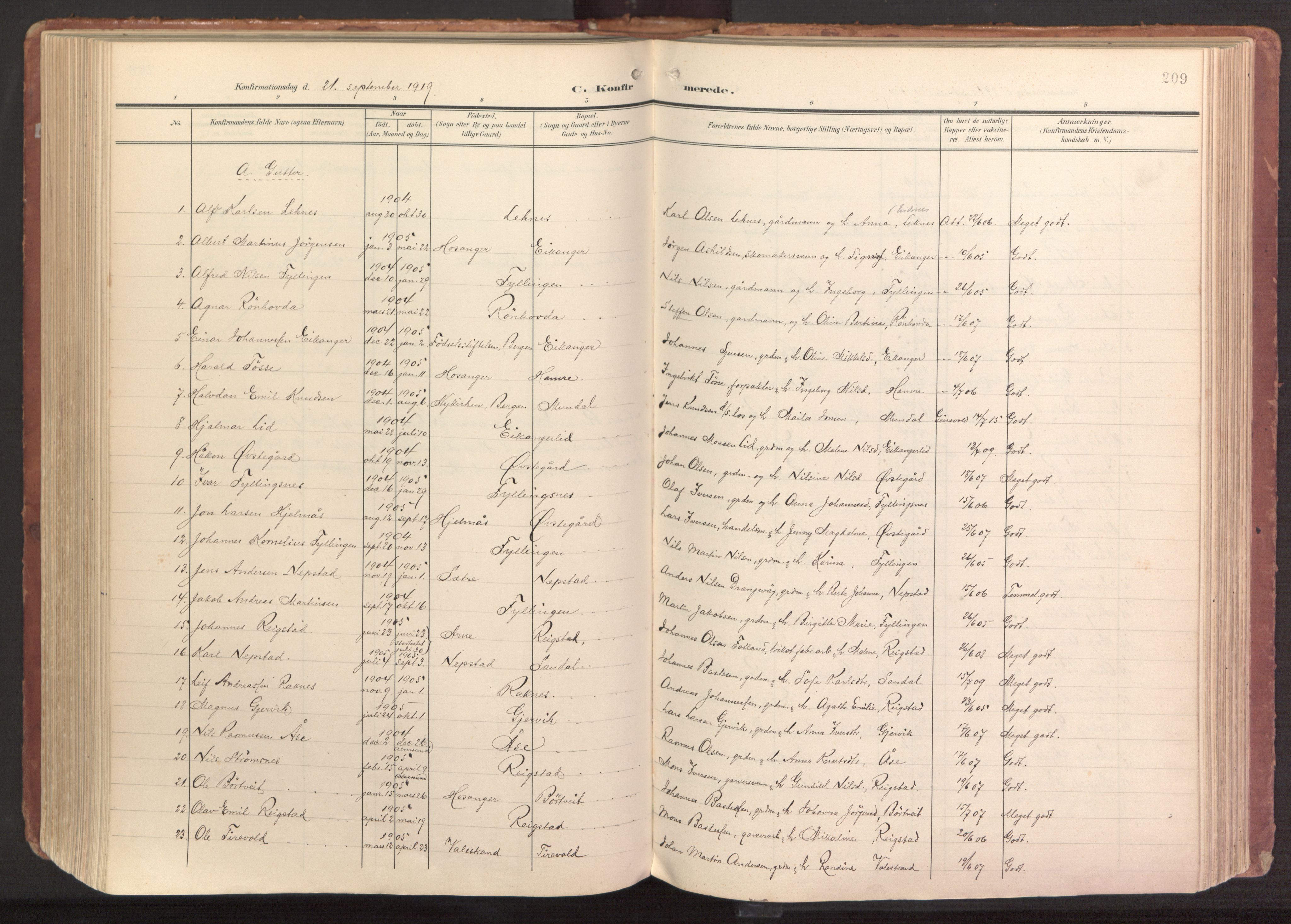 Hamre sokneprestembete, AV/SAB-A-75501/H/Ha/Haa/Haab/L0002: Parish register (official) no. B 2, 1905-1924, p. 209