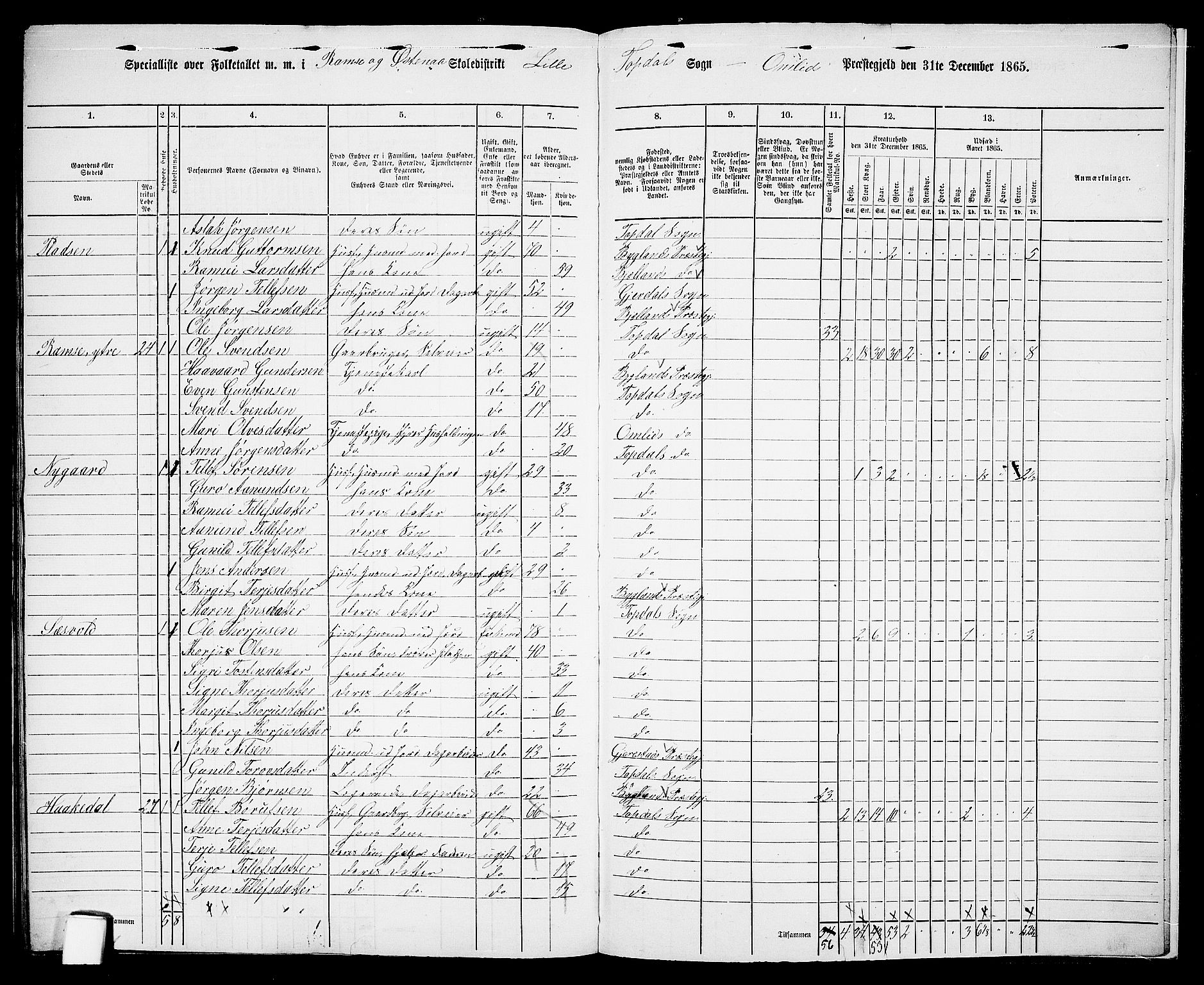 RA, 1865 census for Åmli, 1865, p. 119