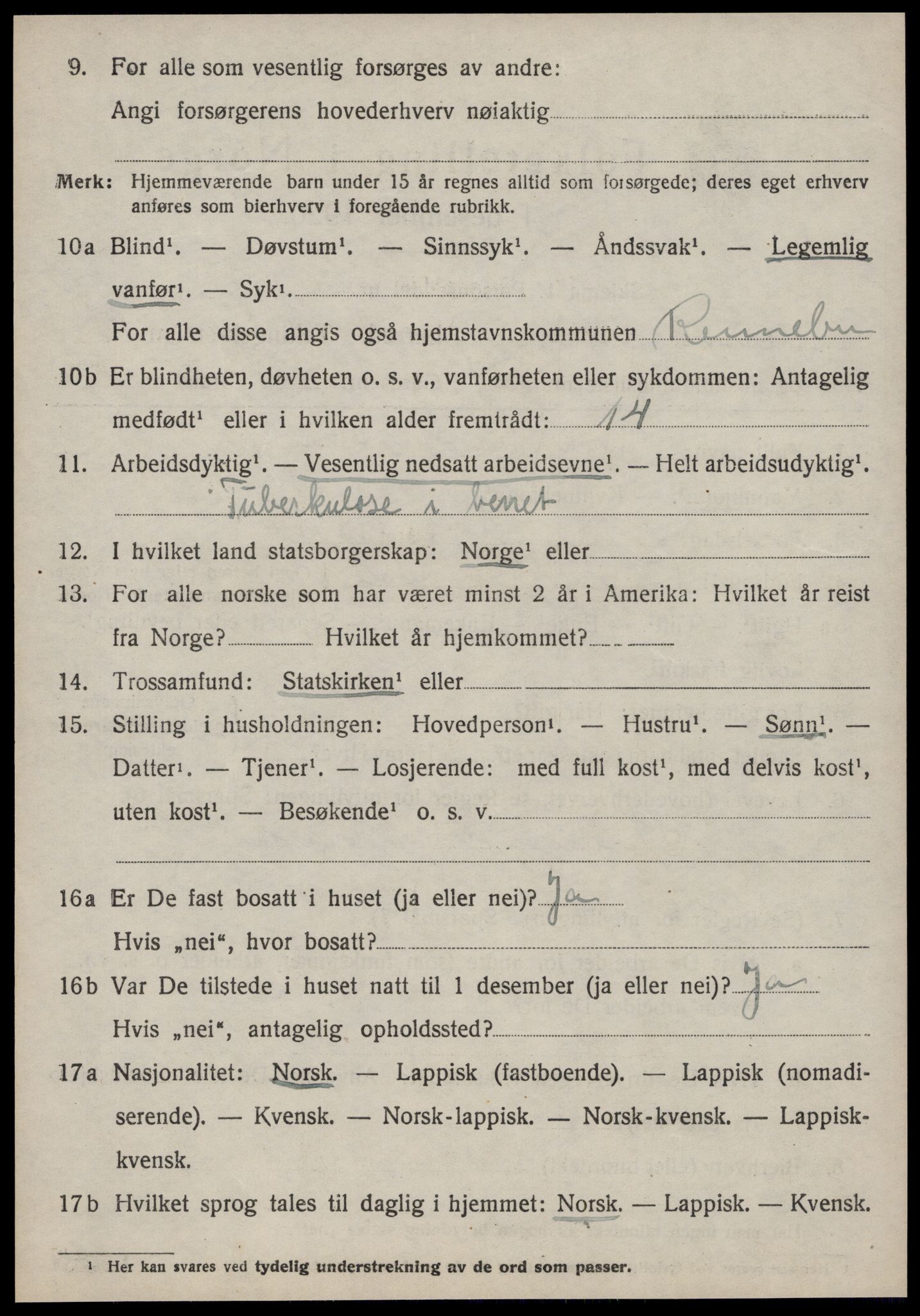 SAT, 1920 census for Rennebu, 1920, p. 3991
