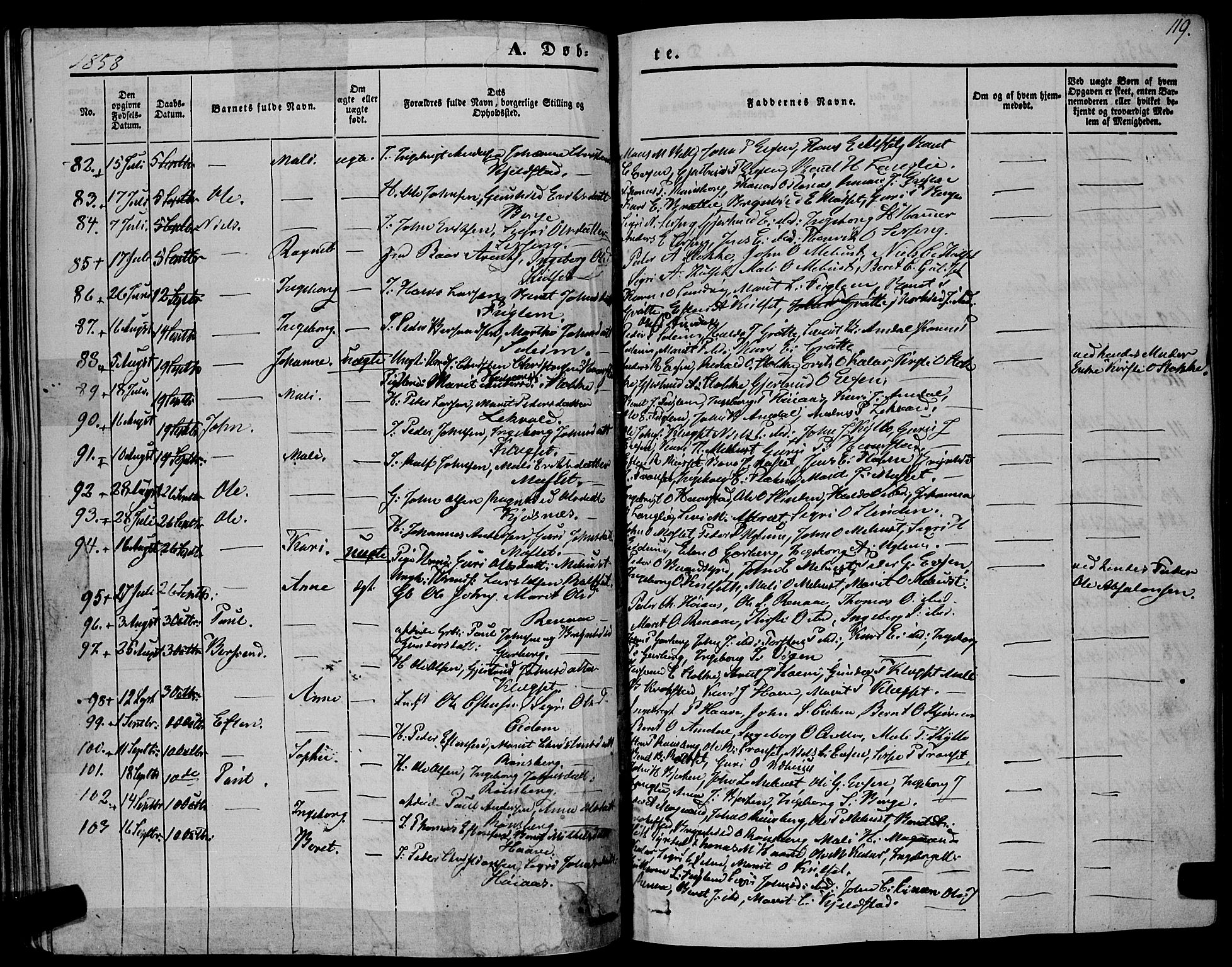 Ministerialprotokoller, klokkerbøker og fødselsregistre - Sør-Trøndelag, AV/SAT-A-1456/695/L1145: Parish register (official) no. 695A06 /1, 1843-1859, p. 119