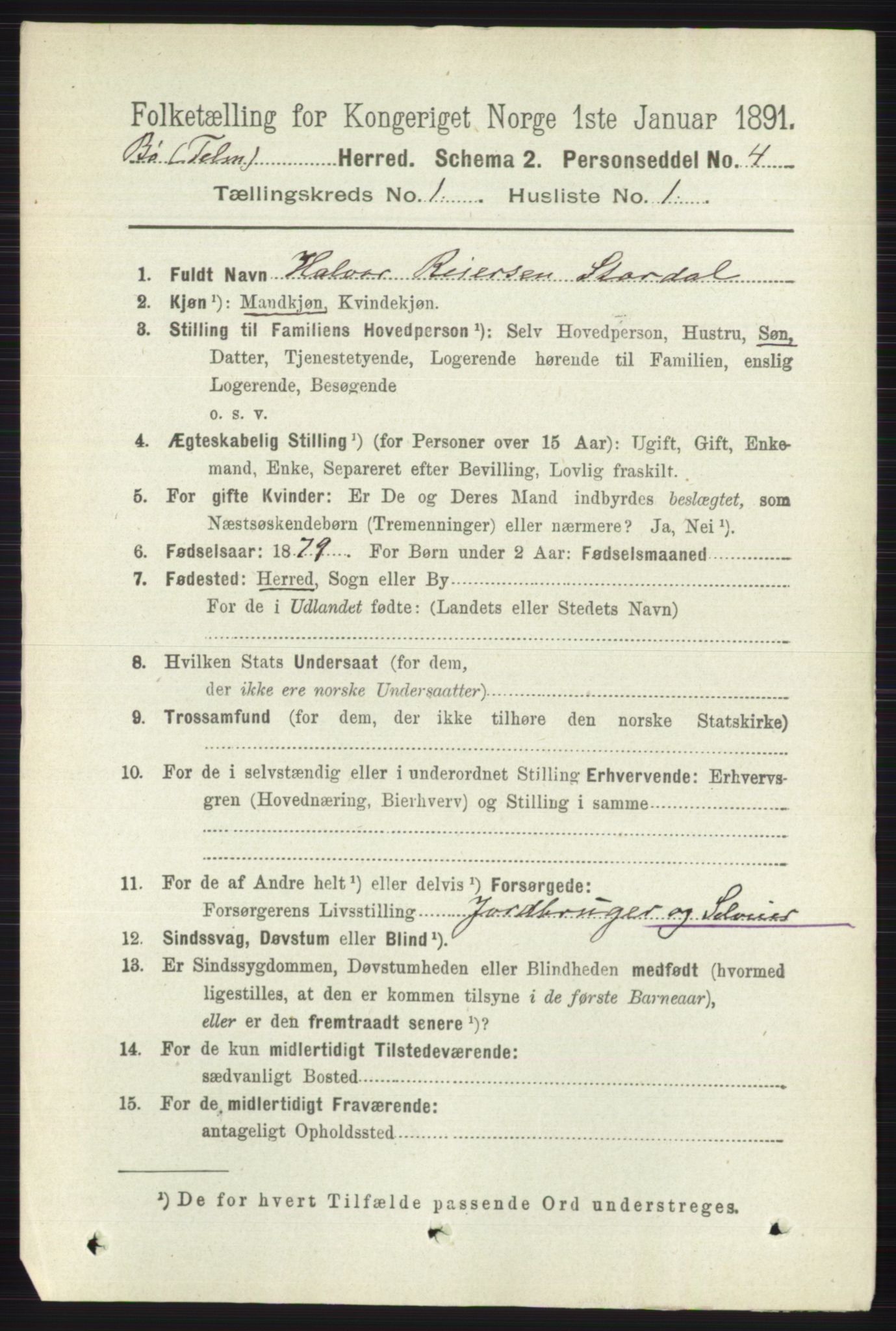 RA, 1891 census for 0821 Bø, 1891, p. 125