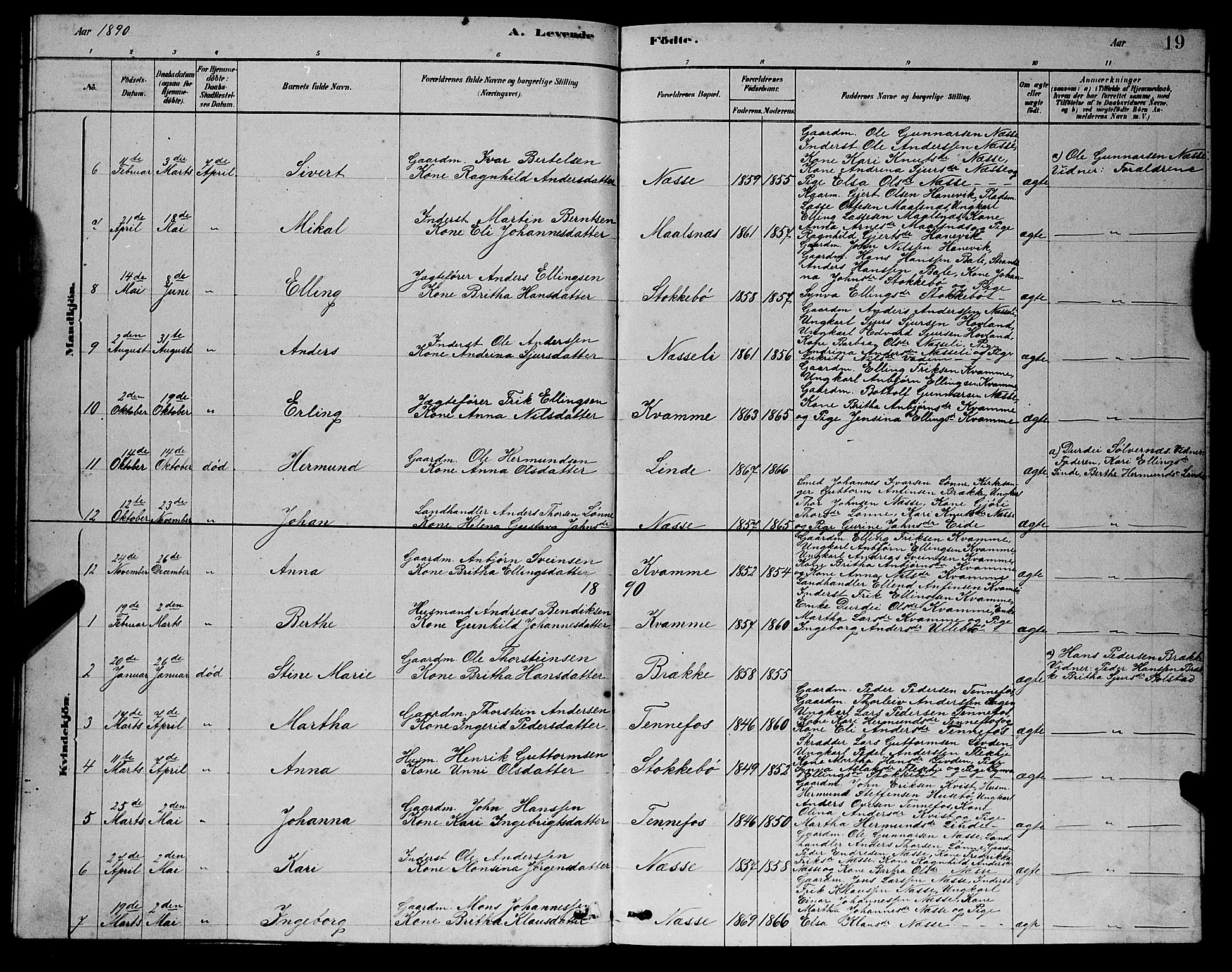 Balestrand sokneprestembete, AV/SAB-A-79601/H/Hab/Habc/L0002: Parish register (copy) no. C 2, 1878-1895, p. 19