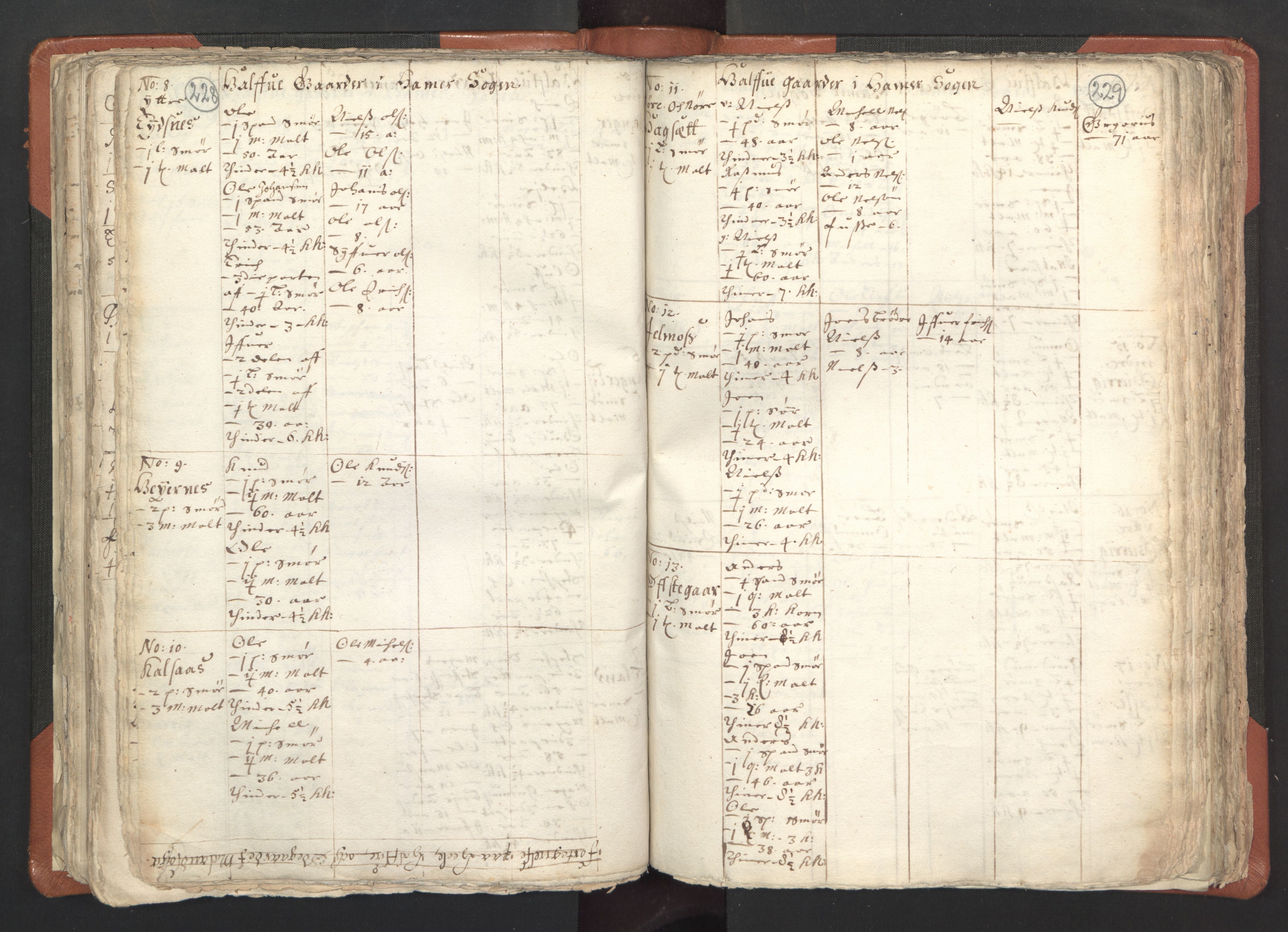 RA, Vicar's Census 1664-1666, no. 22: Nordhordland deanery, 1664-1666, p. 228-229