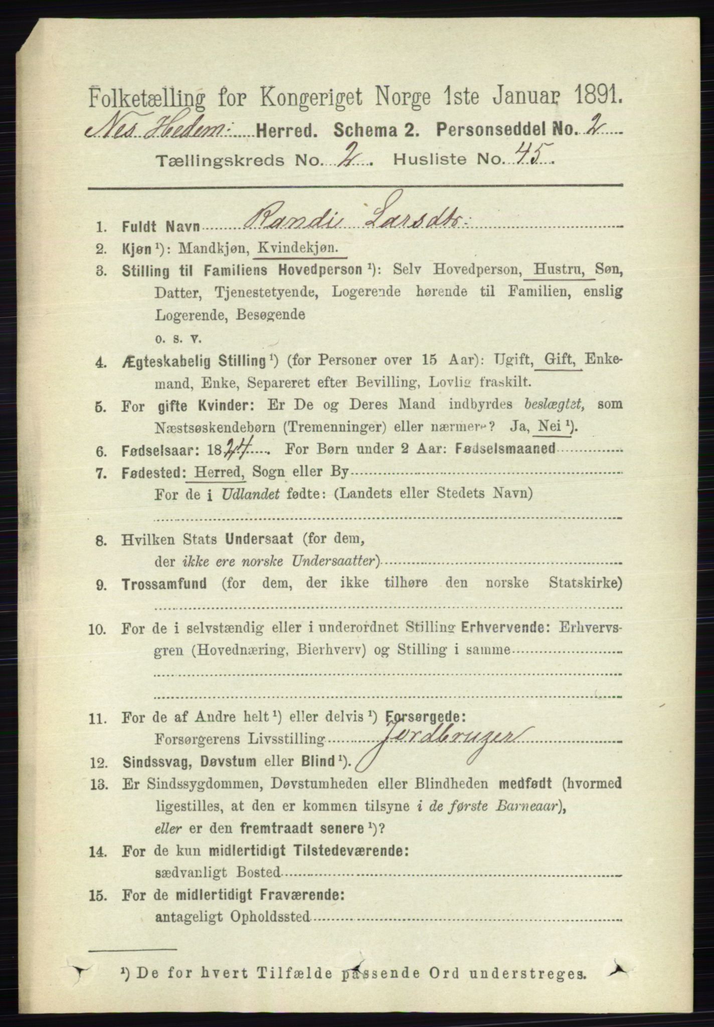 RA, 1891 census for 0411 Nes, 1891, p. 1397