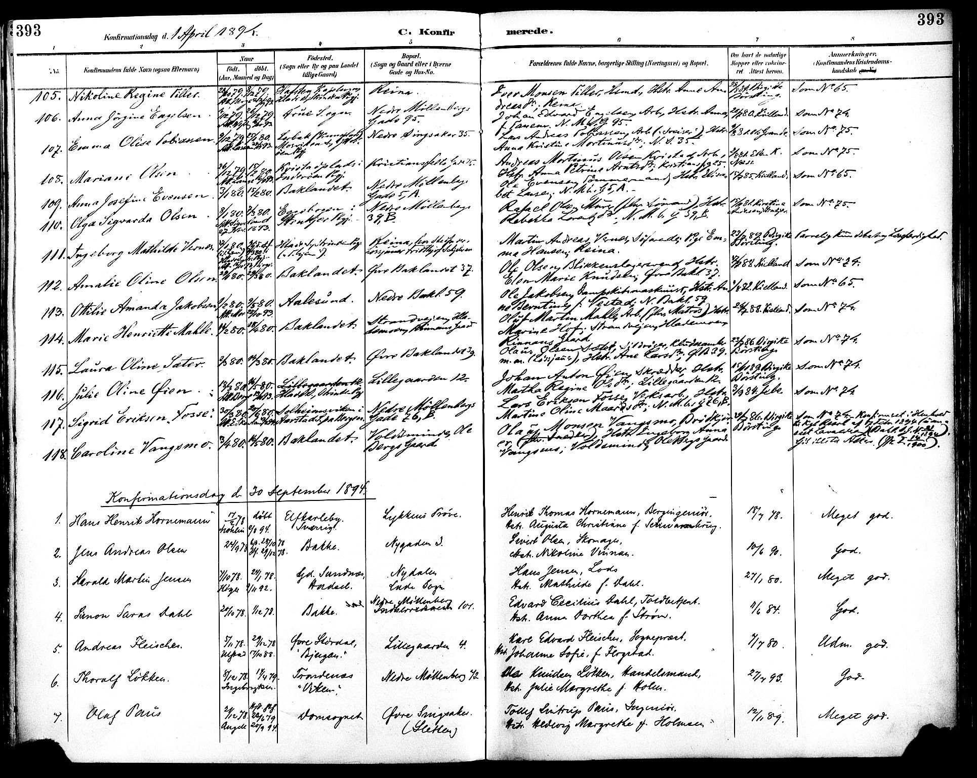 Ministerialprotokoller, klokkerbøker og fødselsregistre - Sør-Trøndelag, AV/SAT-A-1456/604/L0197: Parish register (official) no. 604A18, 1893-1900, p. 393