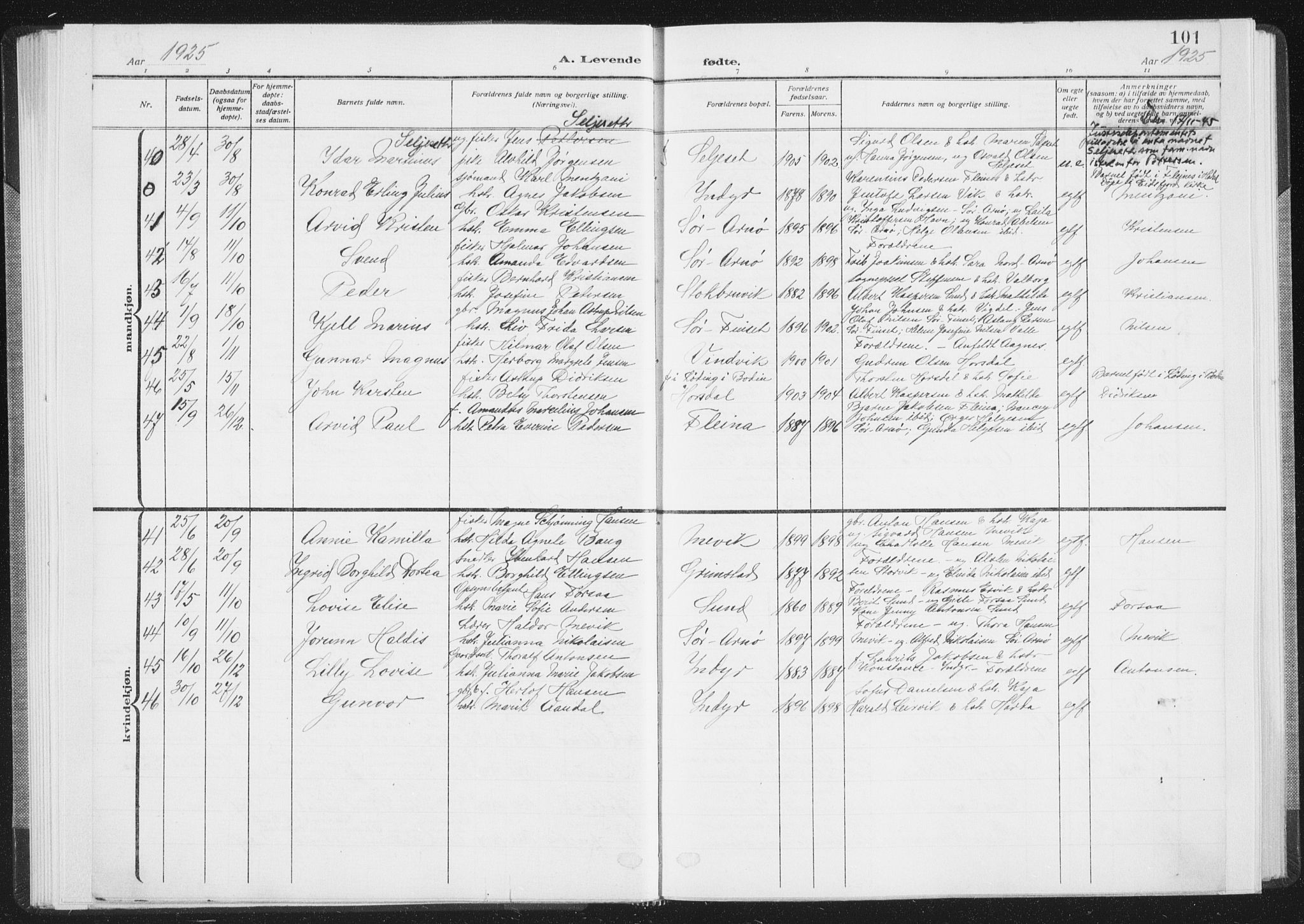 Ministerialprotokoller, klokkerbøker og fødselsregistre - Nordland, AV/SAT-A-1459/805/L0104: Parish register (official) no. 805A09, 1909-1926, p. 101