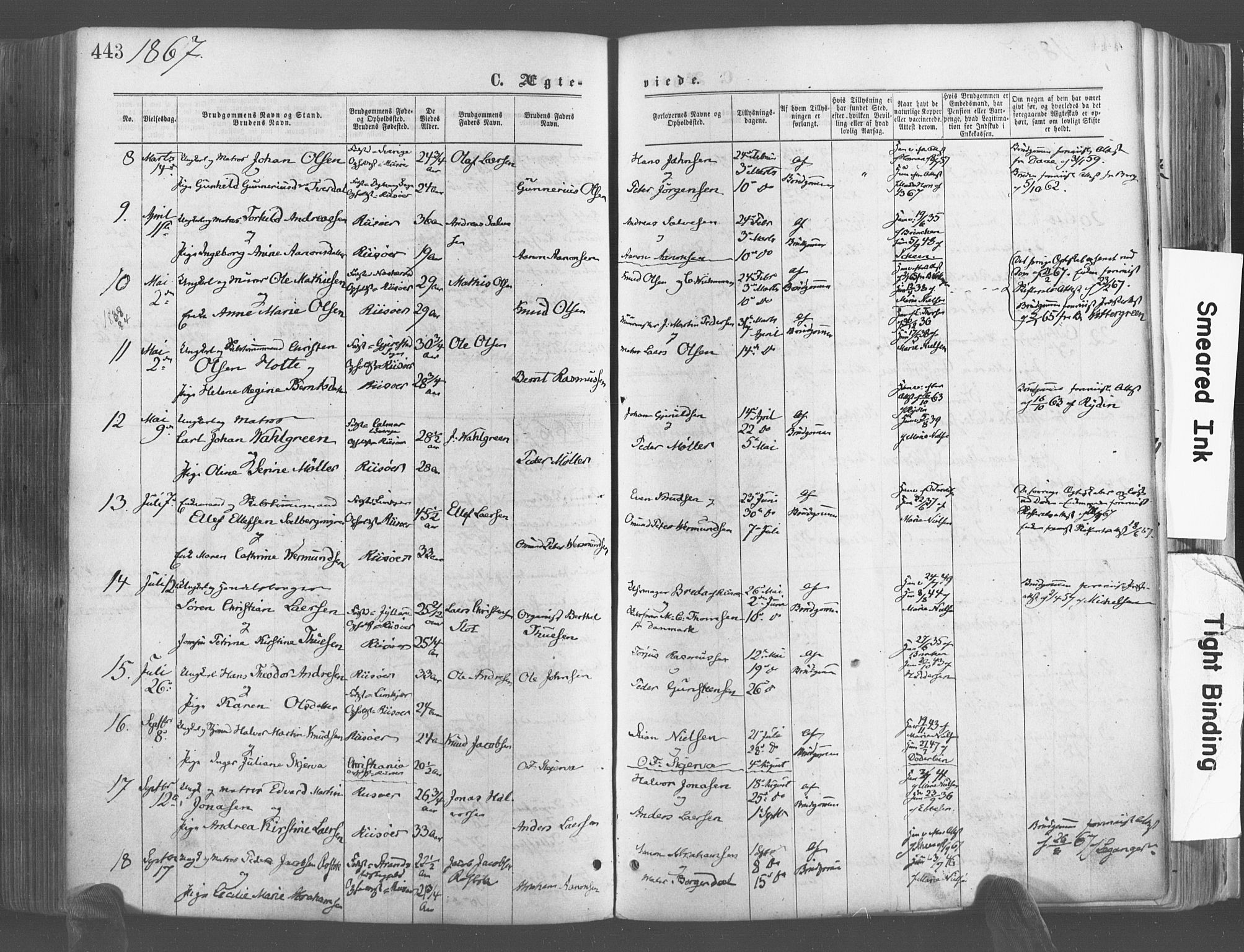 Risør sokneprestkontor, SAK/1111-0035/F/Fa/L0004: Parish register (official) no. A 4, 1865-1882, p. 443