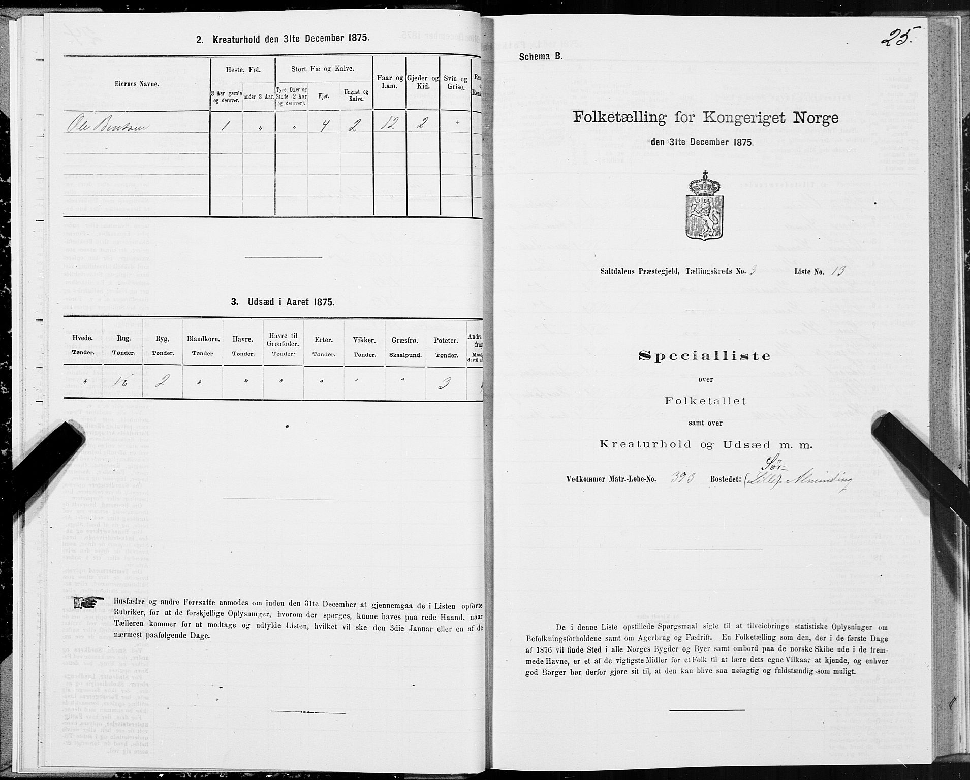 SAT, 1875 census for 1840P Saltdal, 1875, p. 2025