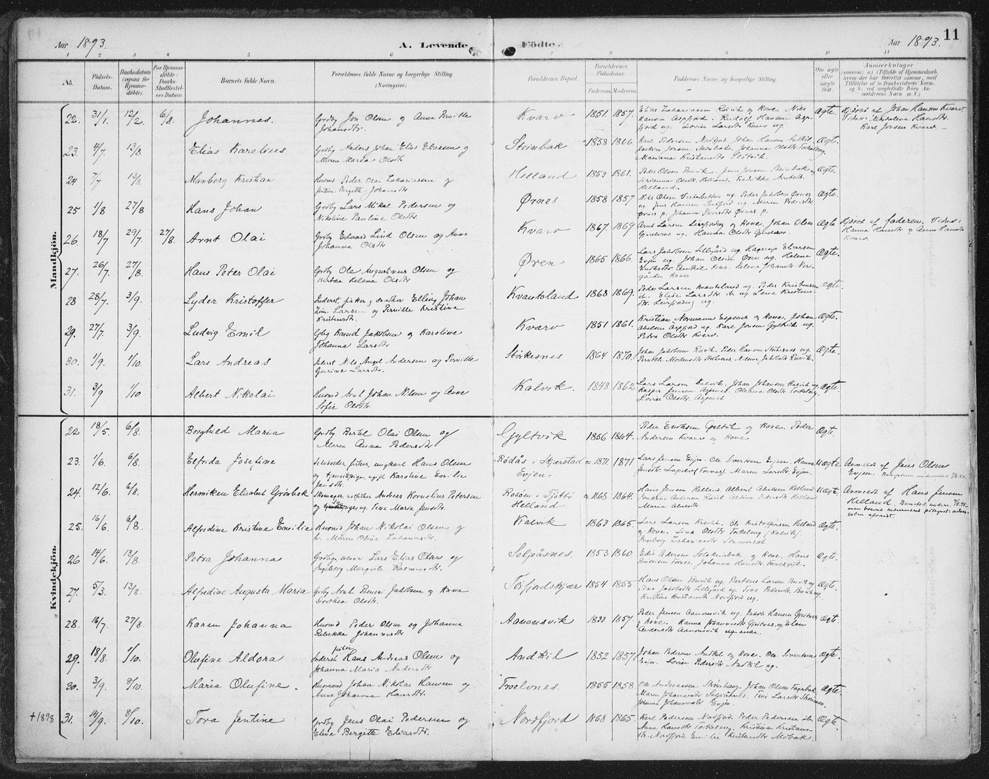 Ministerialprotokoller, klokkerbøker og fødselsregistre - Nordland, SAT/A-1459/854/L0779: Parish register (official) no. 854A02, 1892-1909, p. 11