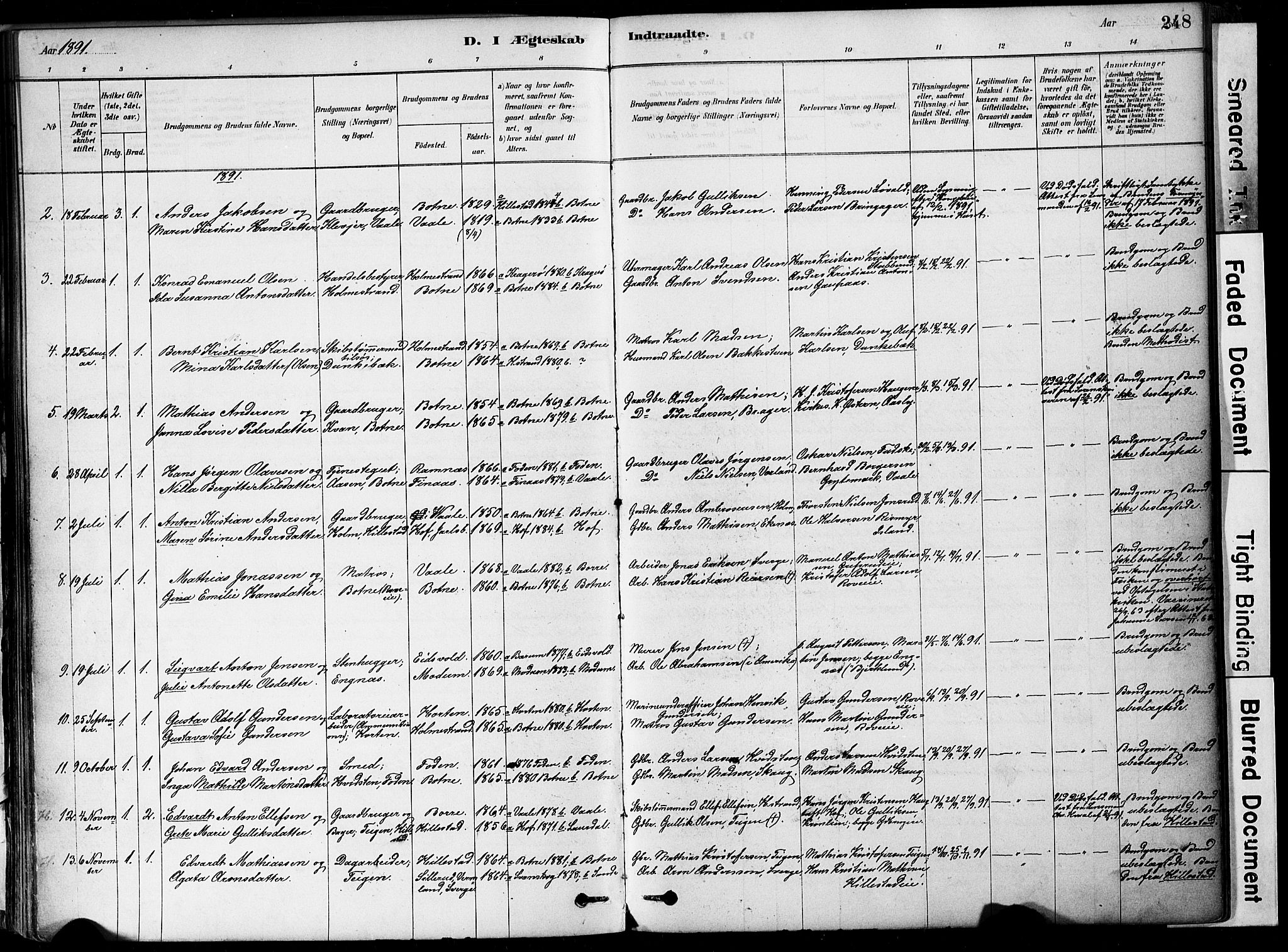 Botne kirkebøker, SAKO/A-340/F/Fa/L0007: Parish register (official) no. I 7, 1878-1910, p. 248