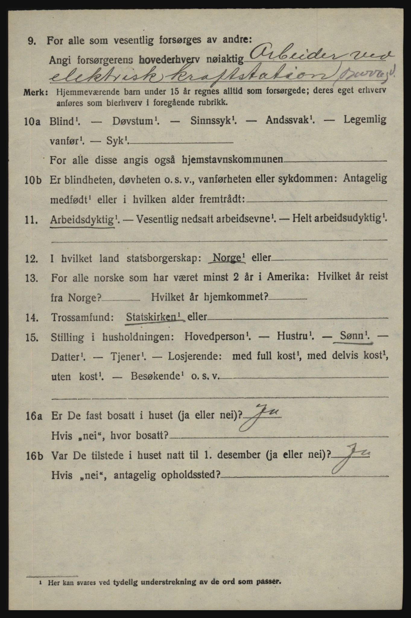 SAO, 1920 census for Skjeberg, 1920, p. 11626