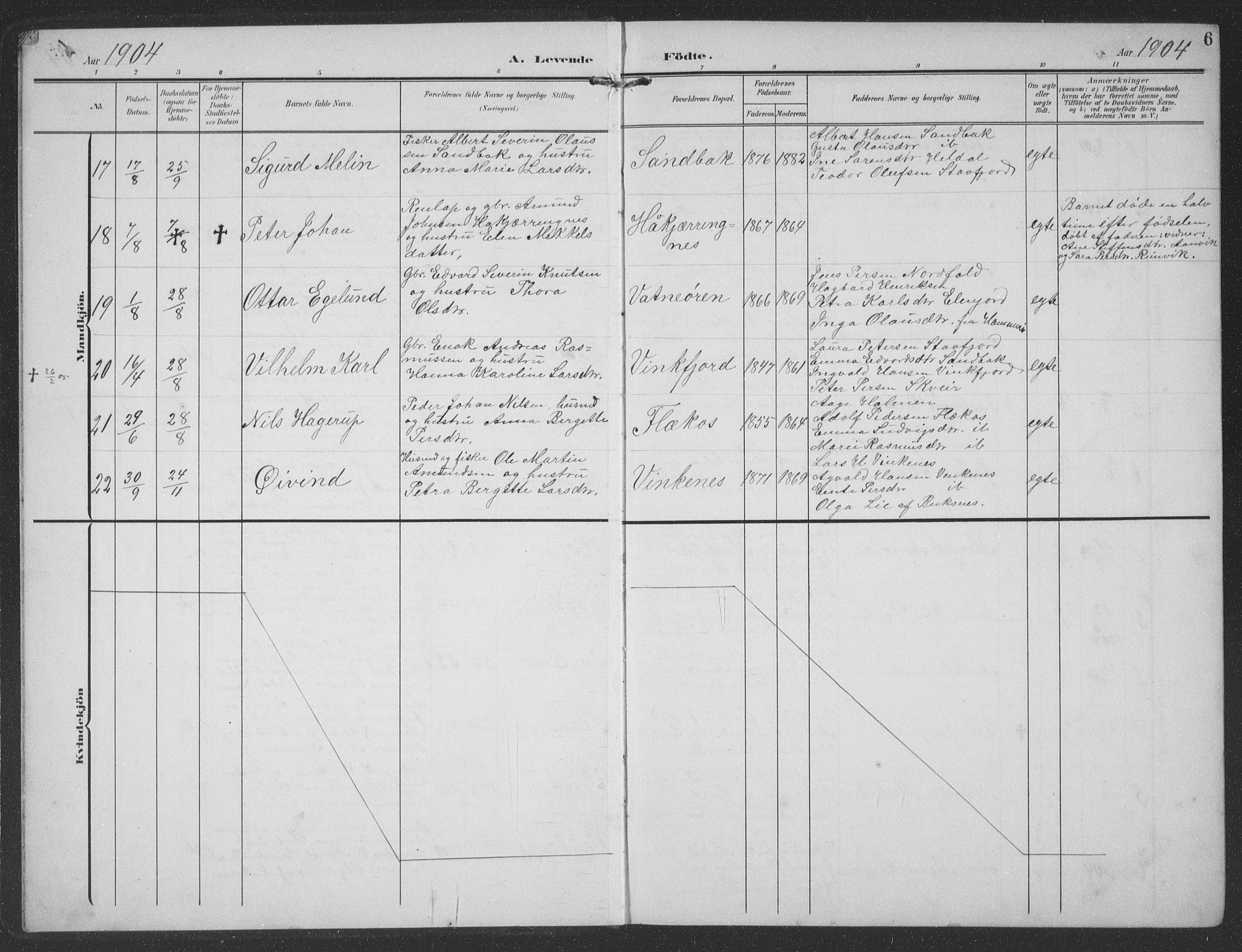 Ministerialprotokoller, klokkerbøker og fødselsregistre - Nordland, AV/SAT-A-1459/858/L0835: Parish register (copy) no. 858C02, 1904-1940, p. 6